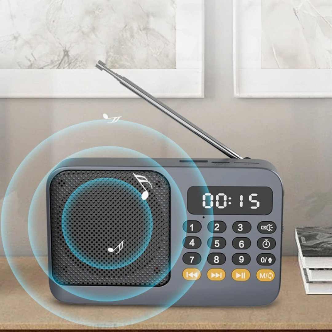 Nordspur | Audionix Rechargeable Portable Radio Speaker