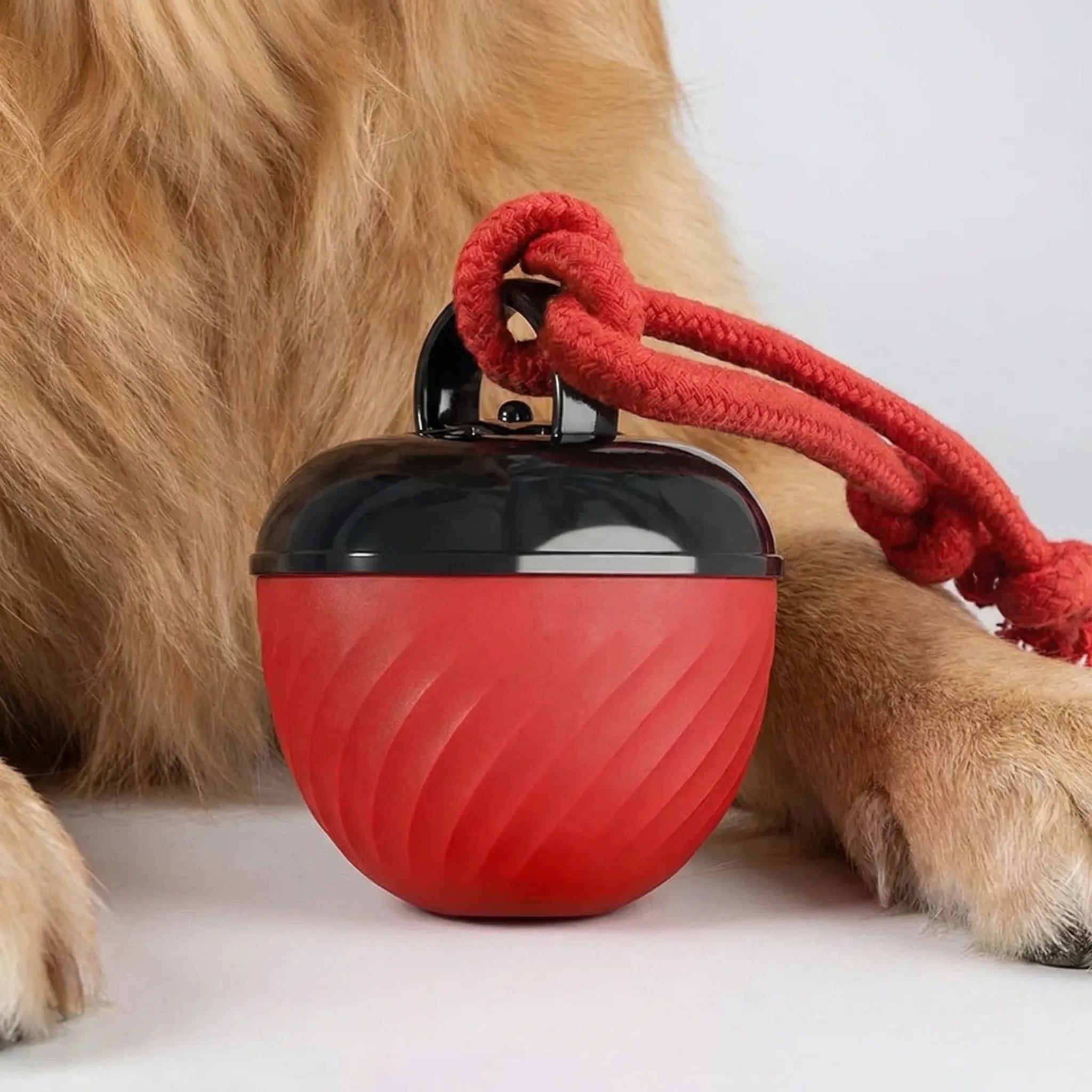 Automatischer Hüpfball für Hunde und Katzen interaktives Spielzeug