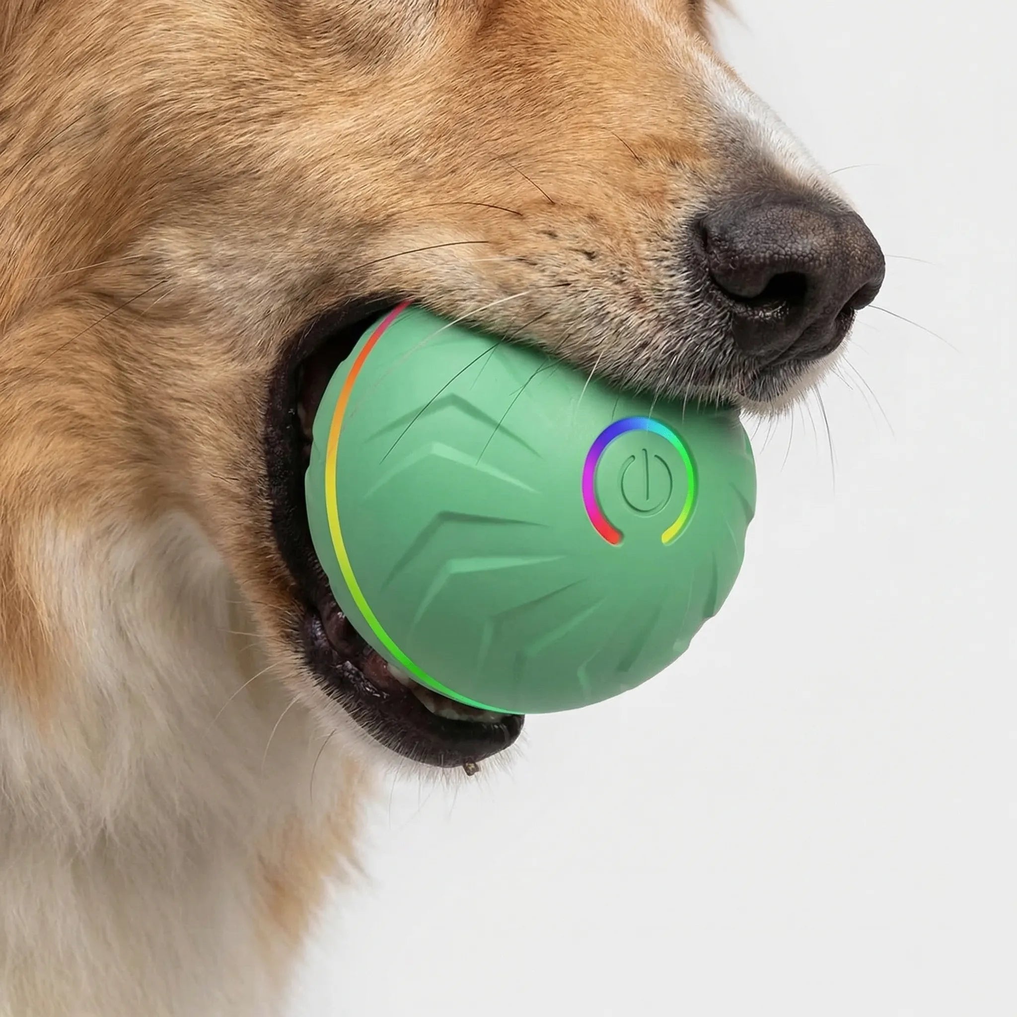 Selbstbewegender Hundespielball mit LED-Licht und Schwerkraftsensor