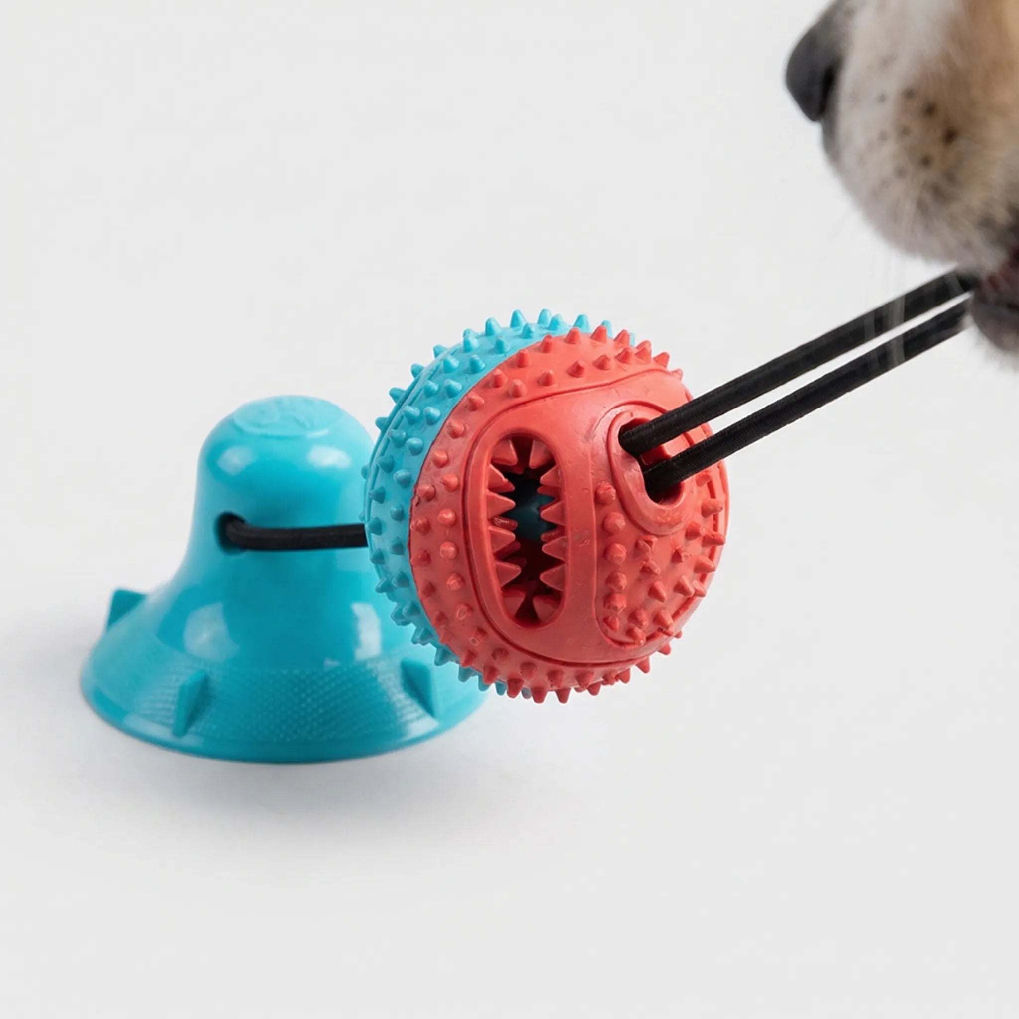 Saugnapf Zerrball Hundespielzeug für große Hunde mit Leckerli-Spender