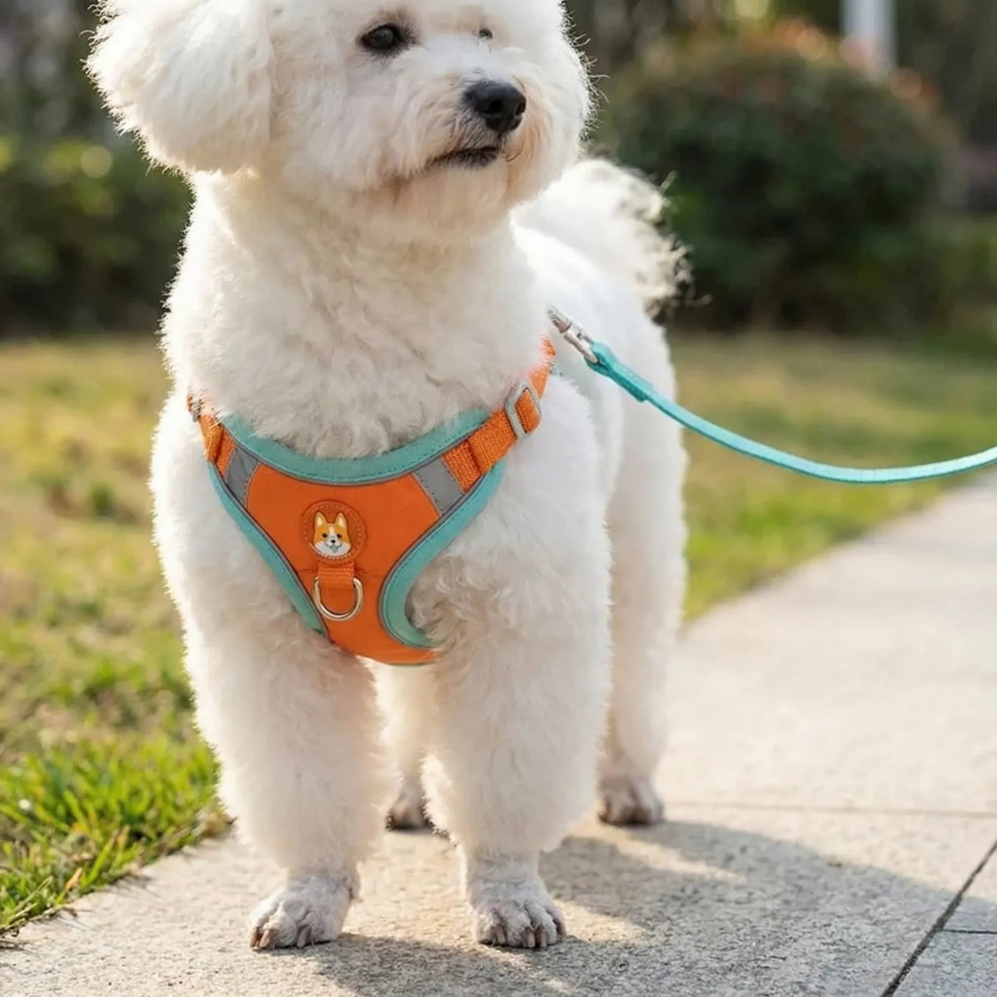 Nordspur | Furrstrap Reflective Vest Harness For Small Pets