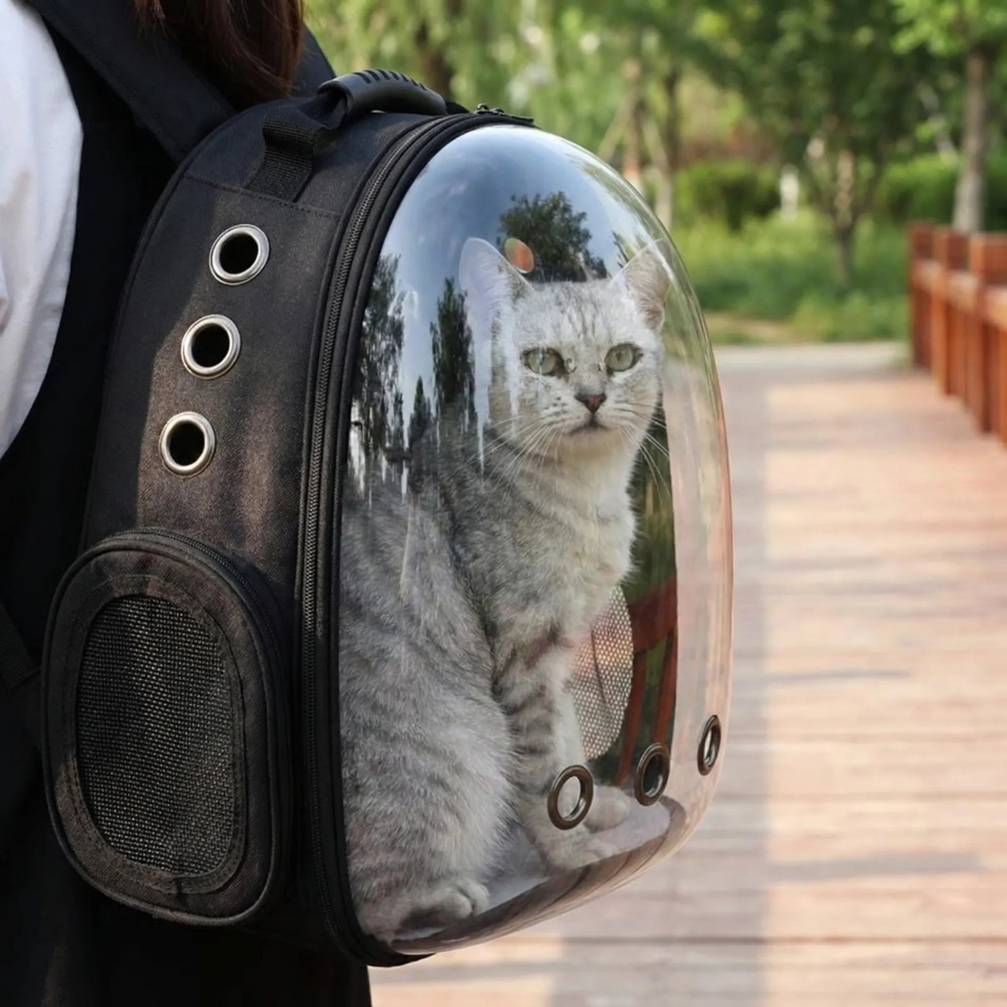 Nordspur | Furvoyage Transparent Dome Cat Carrier Backpack