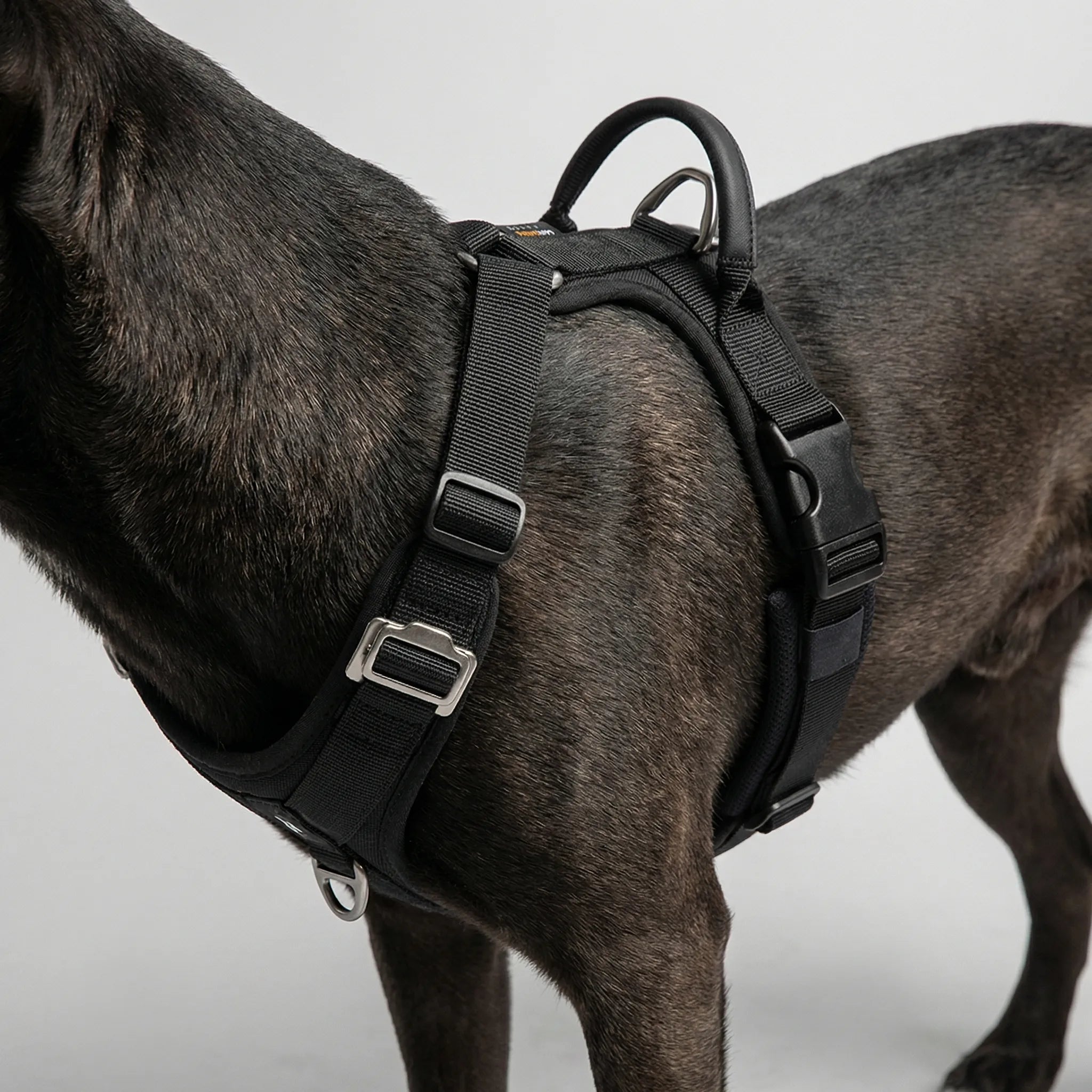 Nordspur | Houndlix Adjustable No-Pull Vest Harness