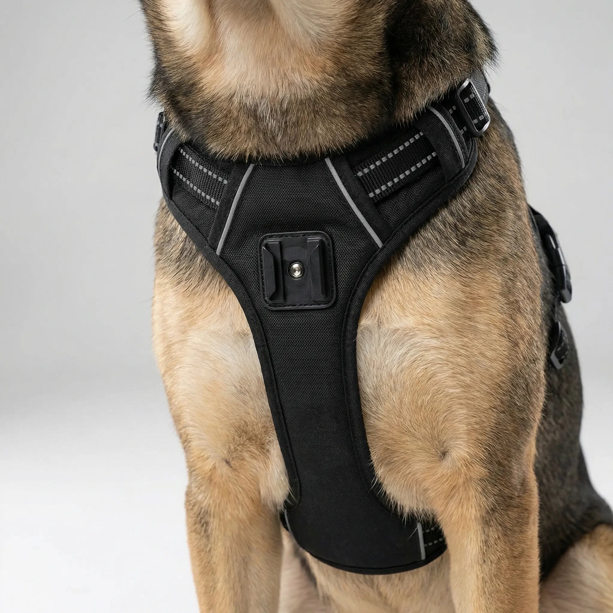 Nordspur | Pawcam Adjustable Chest And Back Camera Harness