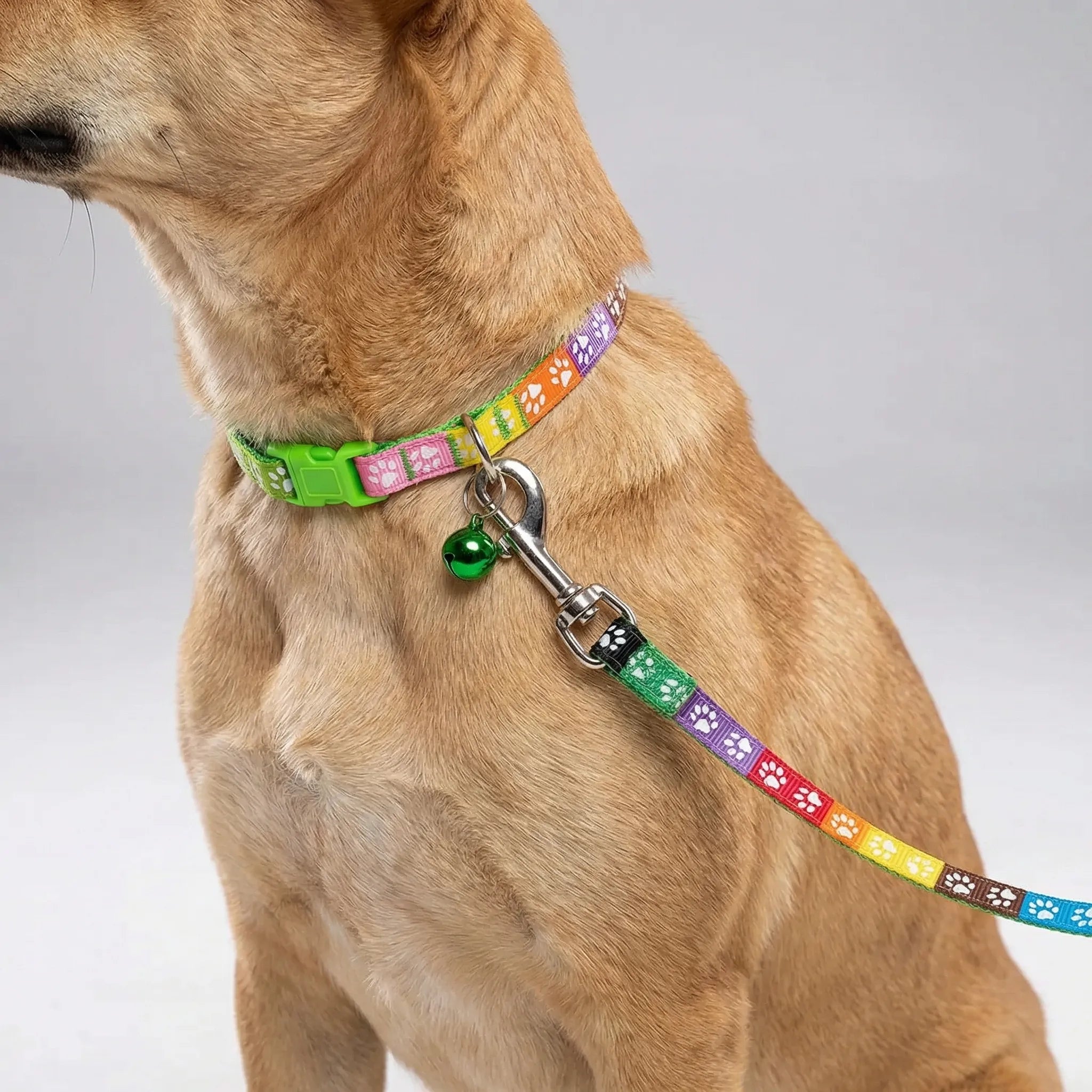 Nordspur | Pawdash Adjustable Collar And Leash Set