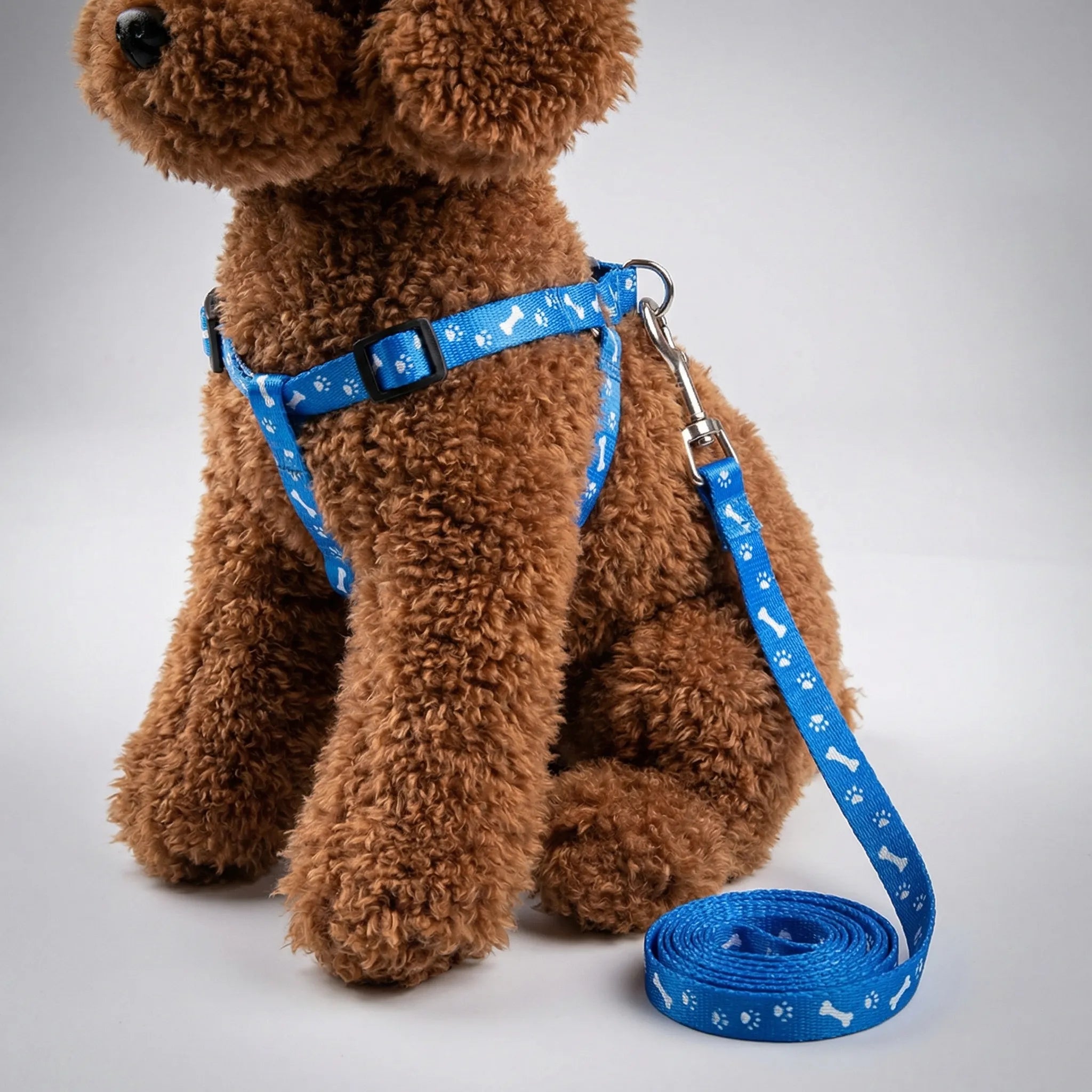 Nordspur | Pawlette Small Pet Harness And Lead Set