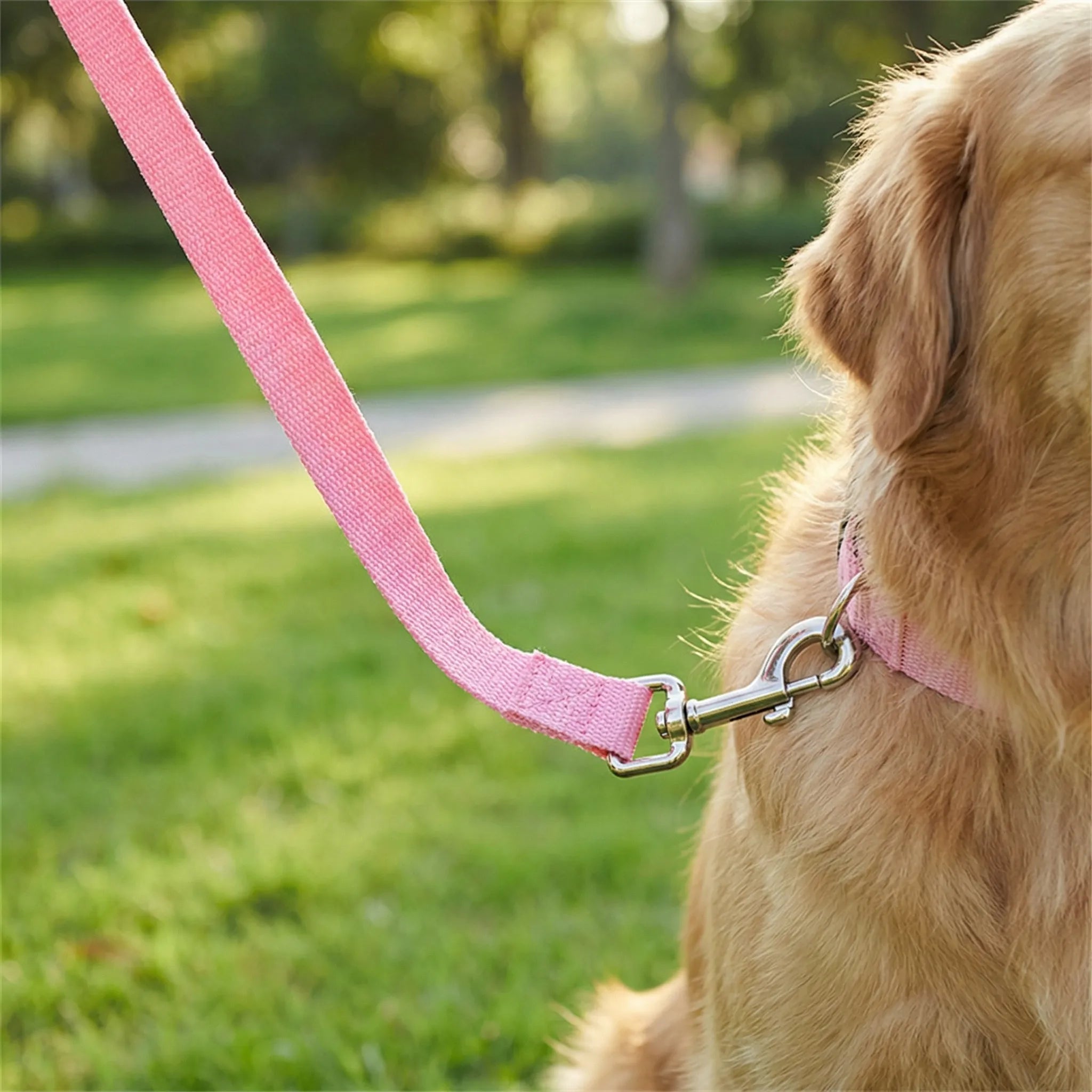Nordspur | Pawlyne Long-Line Dog Training Lead