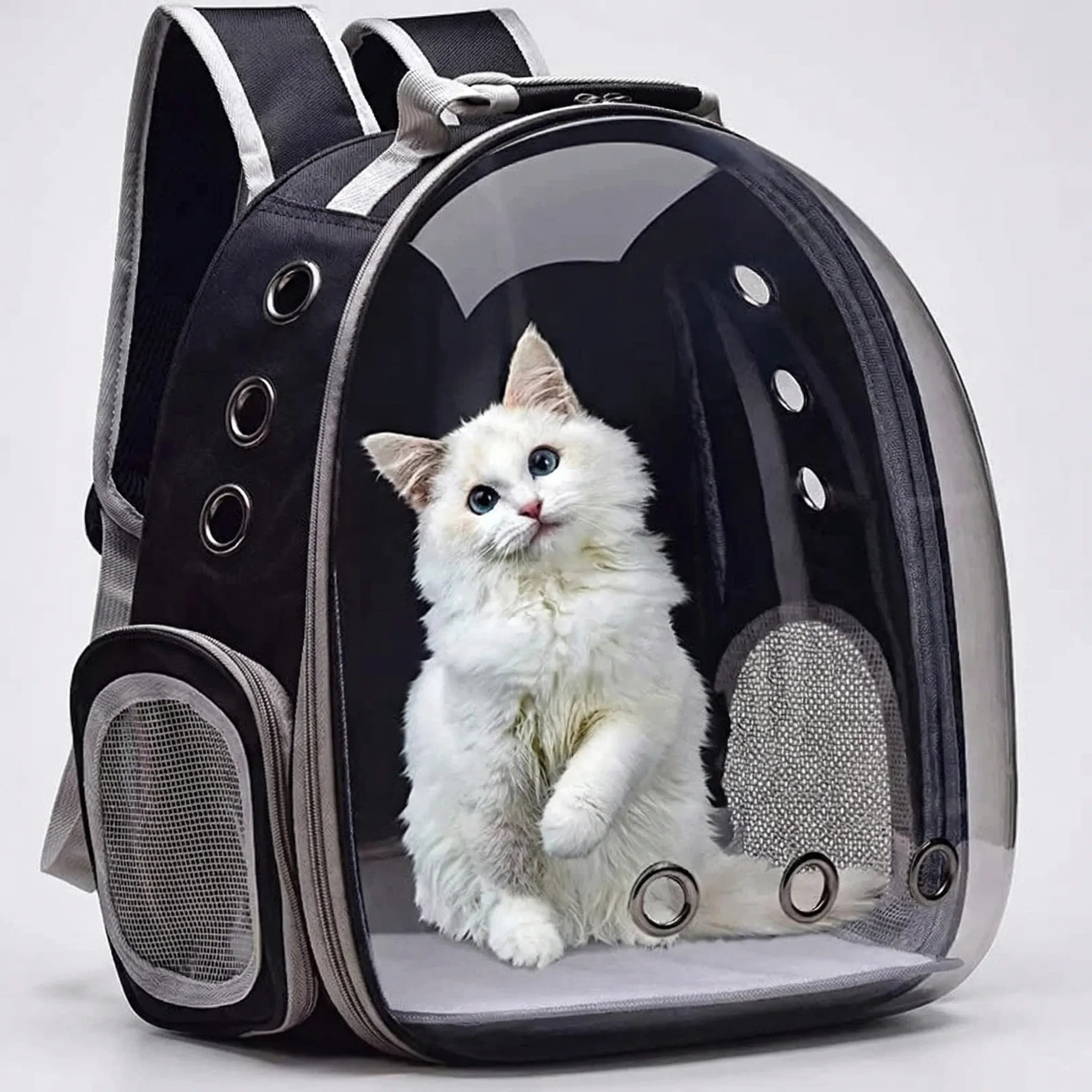 Nordspur | Pawsule Transparent Capsule Bubble Pet Backpack