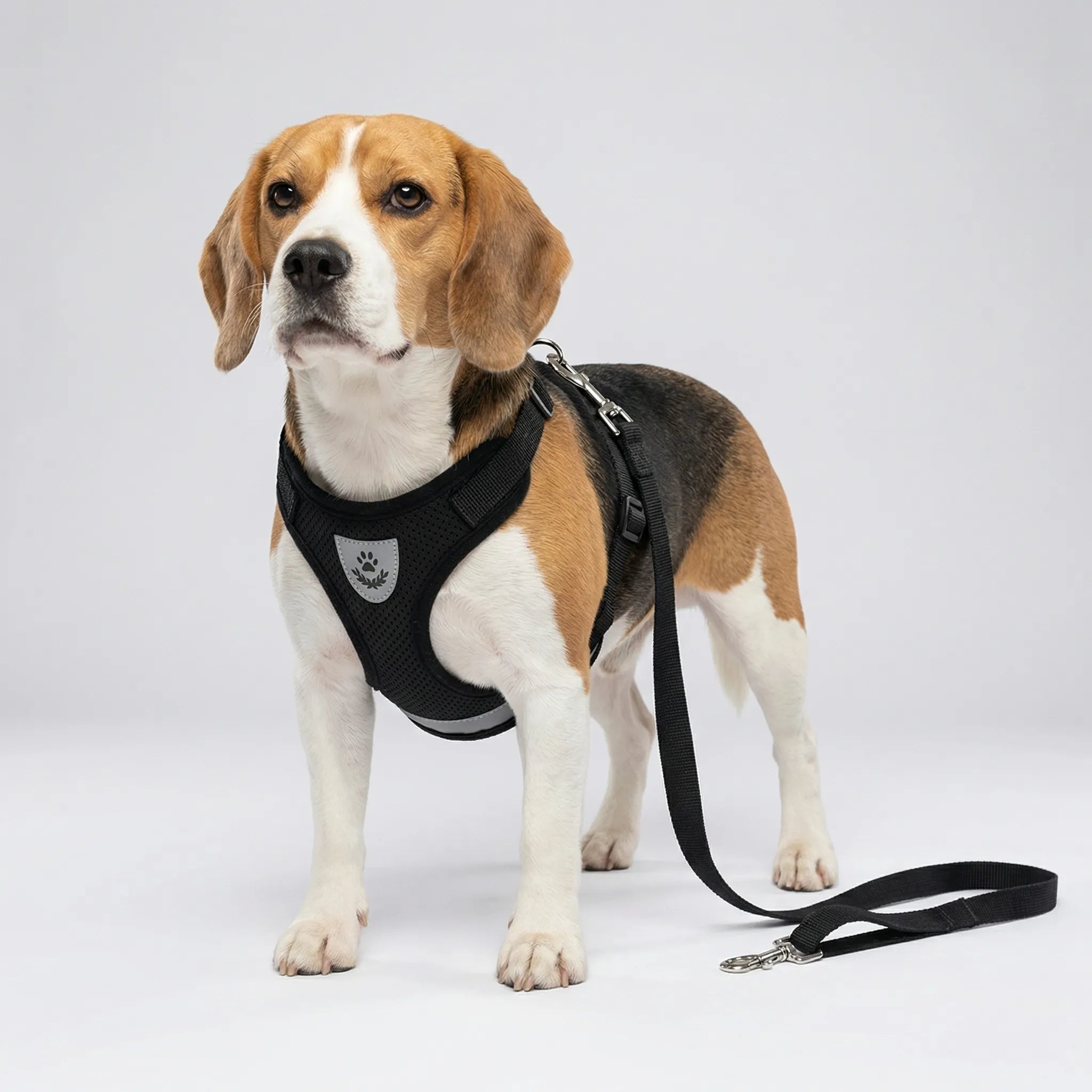 Nordspur | Pawvest Vest-Style Harness And Leash Set