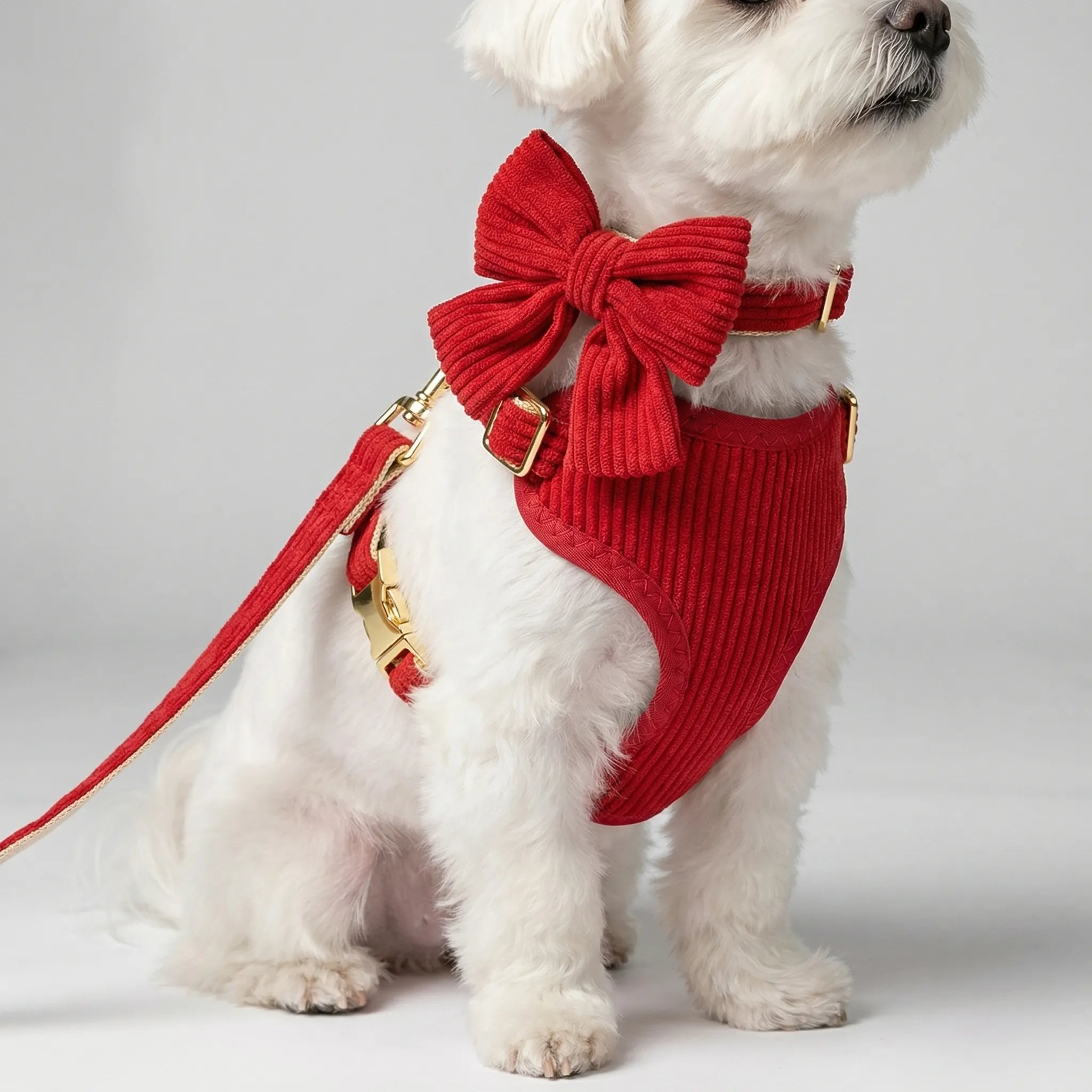 Nordspur | Pawvette 3-Piece Vest Harness Collar Leash Set