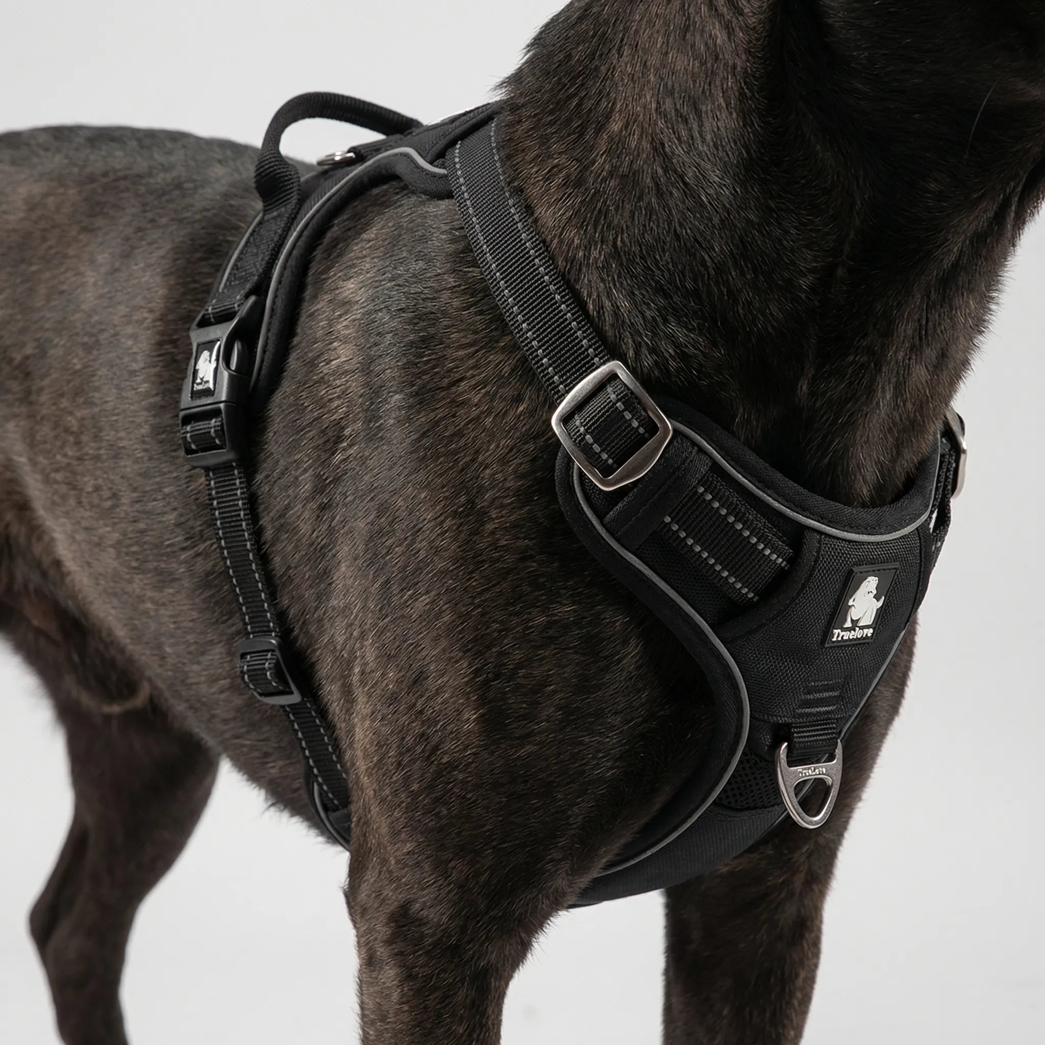 Nordspur | Pawvex Adjustable Reflective Dog Vest Harness