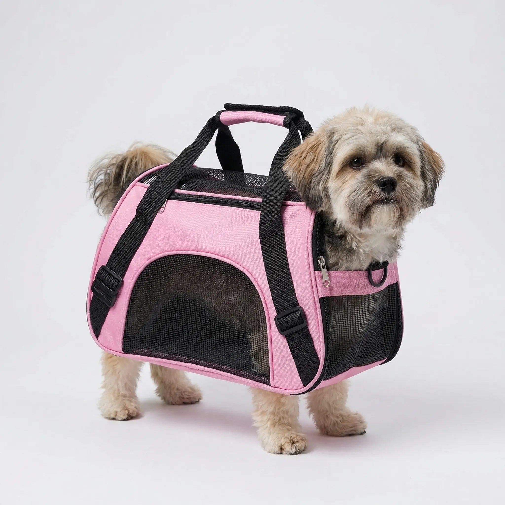 Nordspur | Petluxe Foldable Mesh Pet Carrier Bag