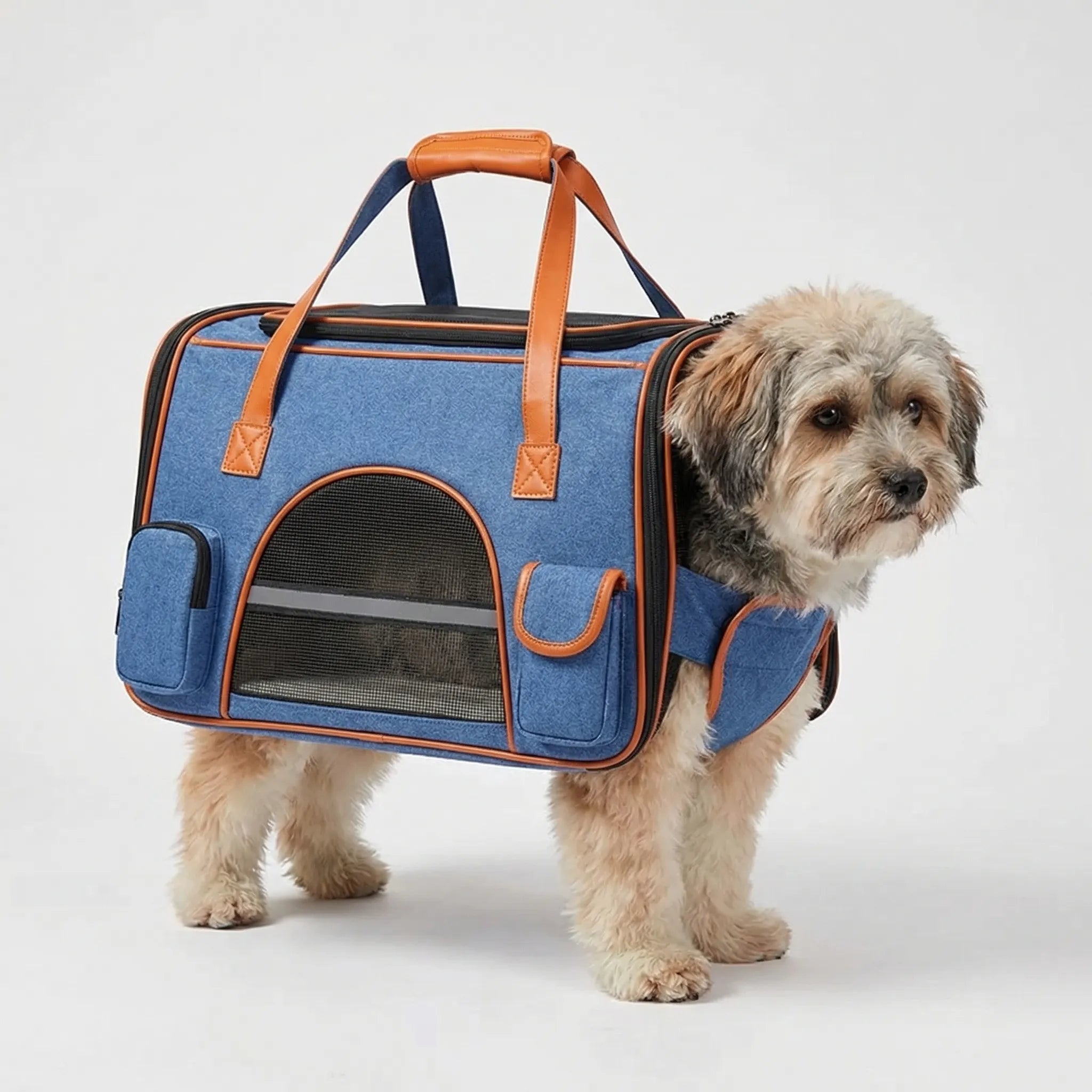 Nordspur | Pettrove Anti-Collapse Structured Pet Carrier Bag