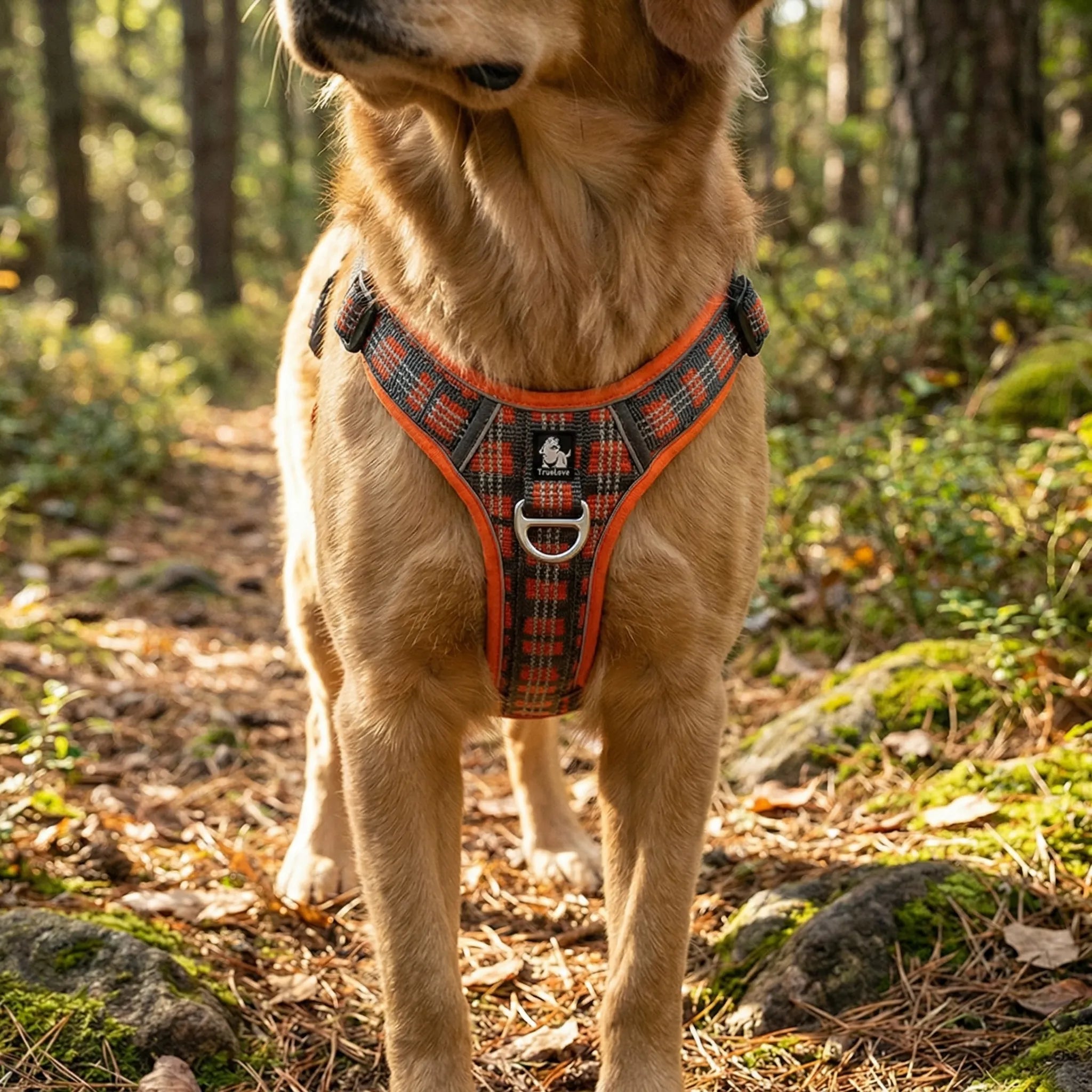 Nordspur | Roverpaw Adjustable Chest Strap Pet Harness Vest