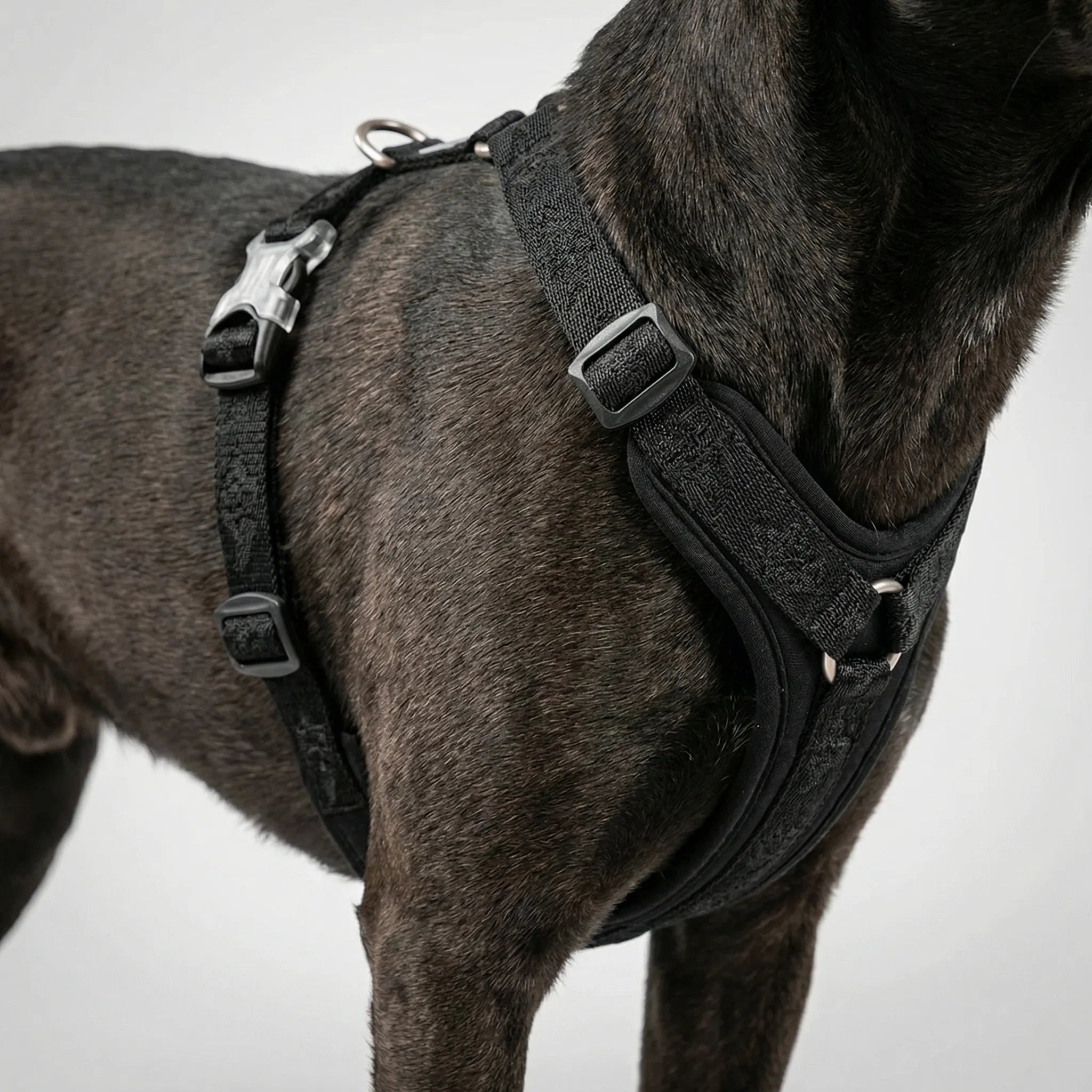 Nordspur | Roverpaw Adjustable Chest Strap Pet Harness Vest