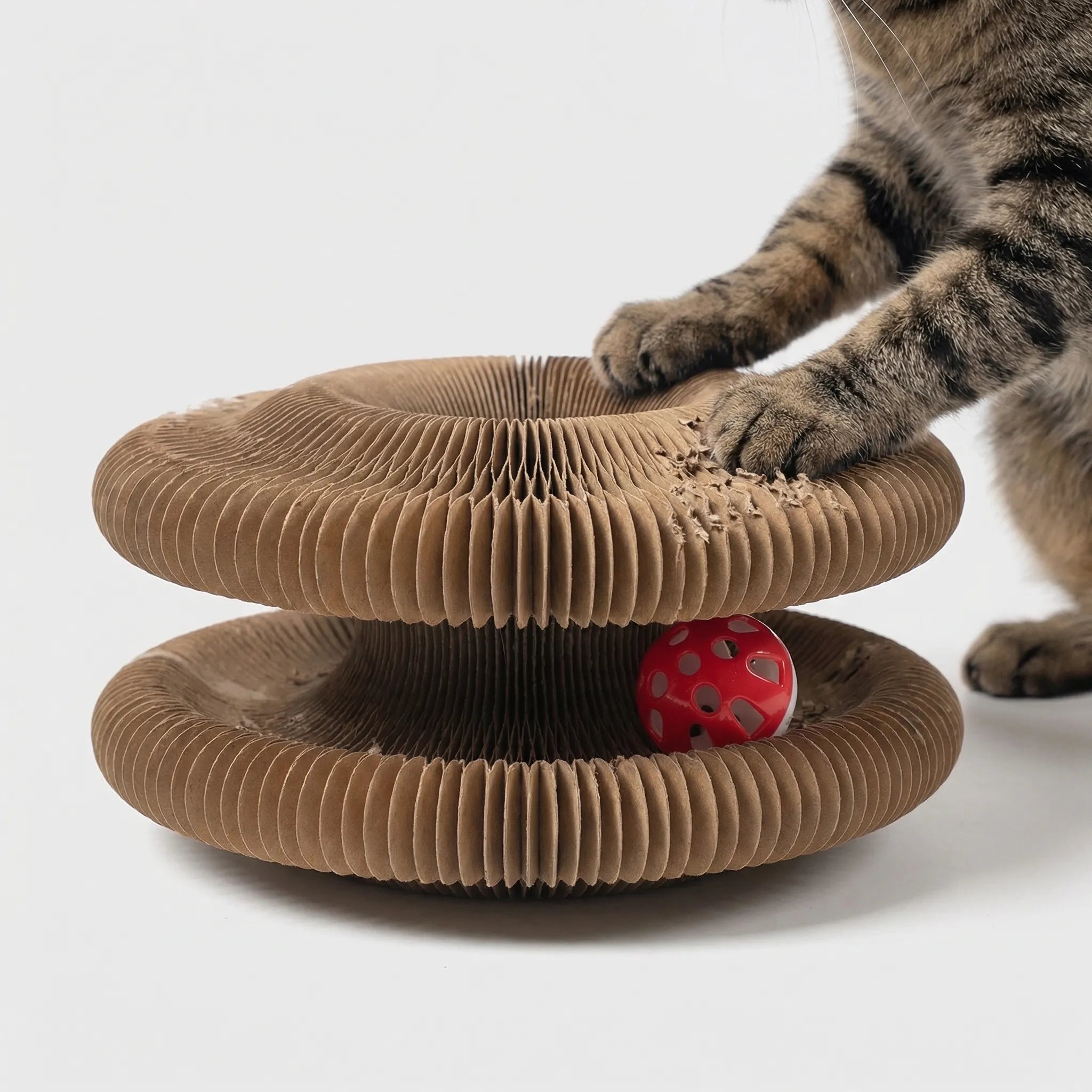 Nordspur | Scratchello Foldable Round Cat Scratching Toy