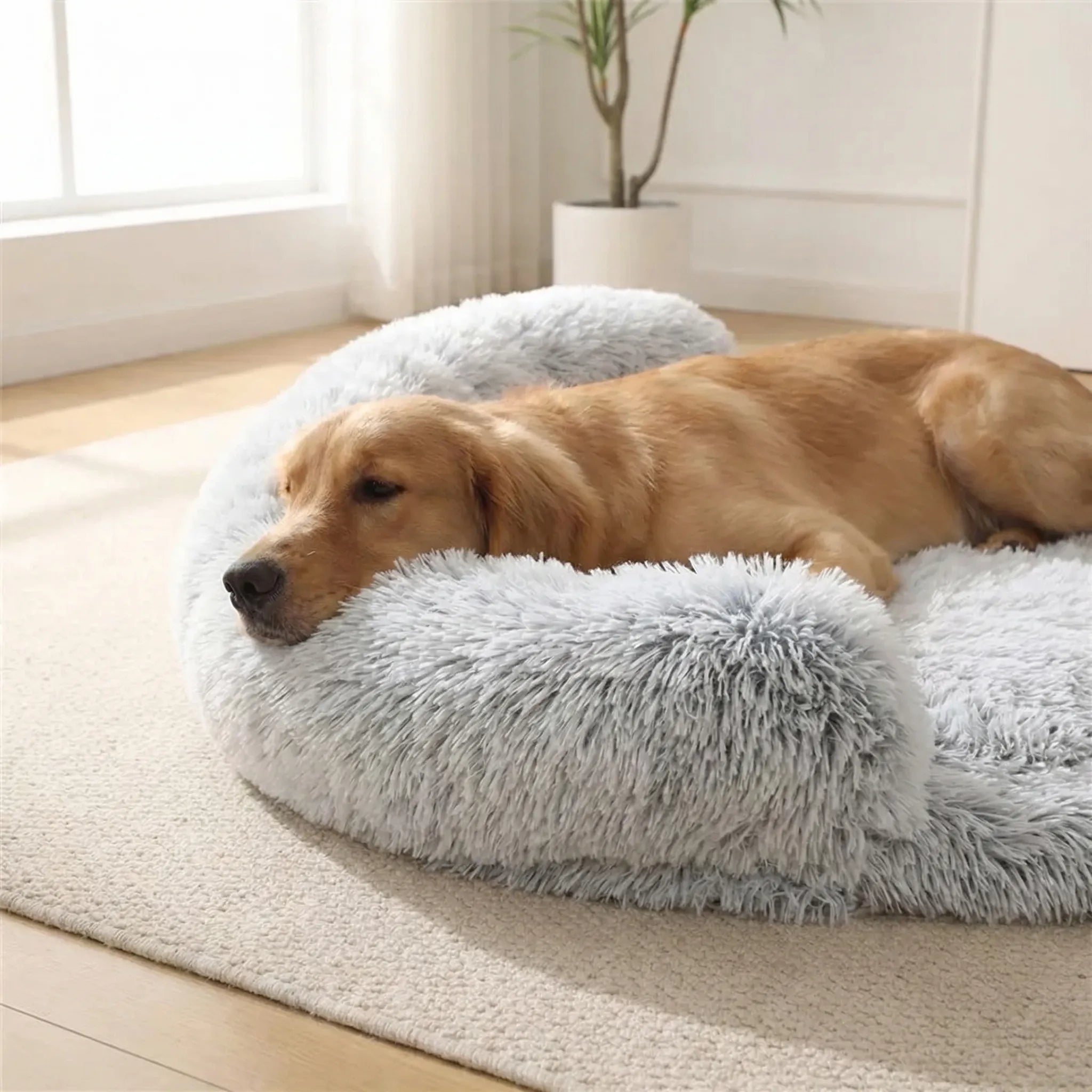 Nordspur | Snoozepaw Orthopedic Egg Foam Dog Bed