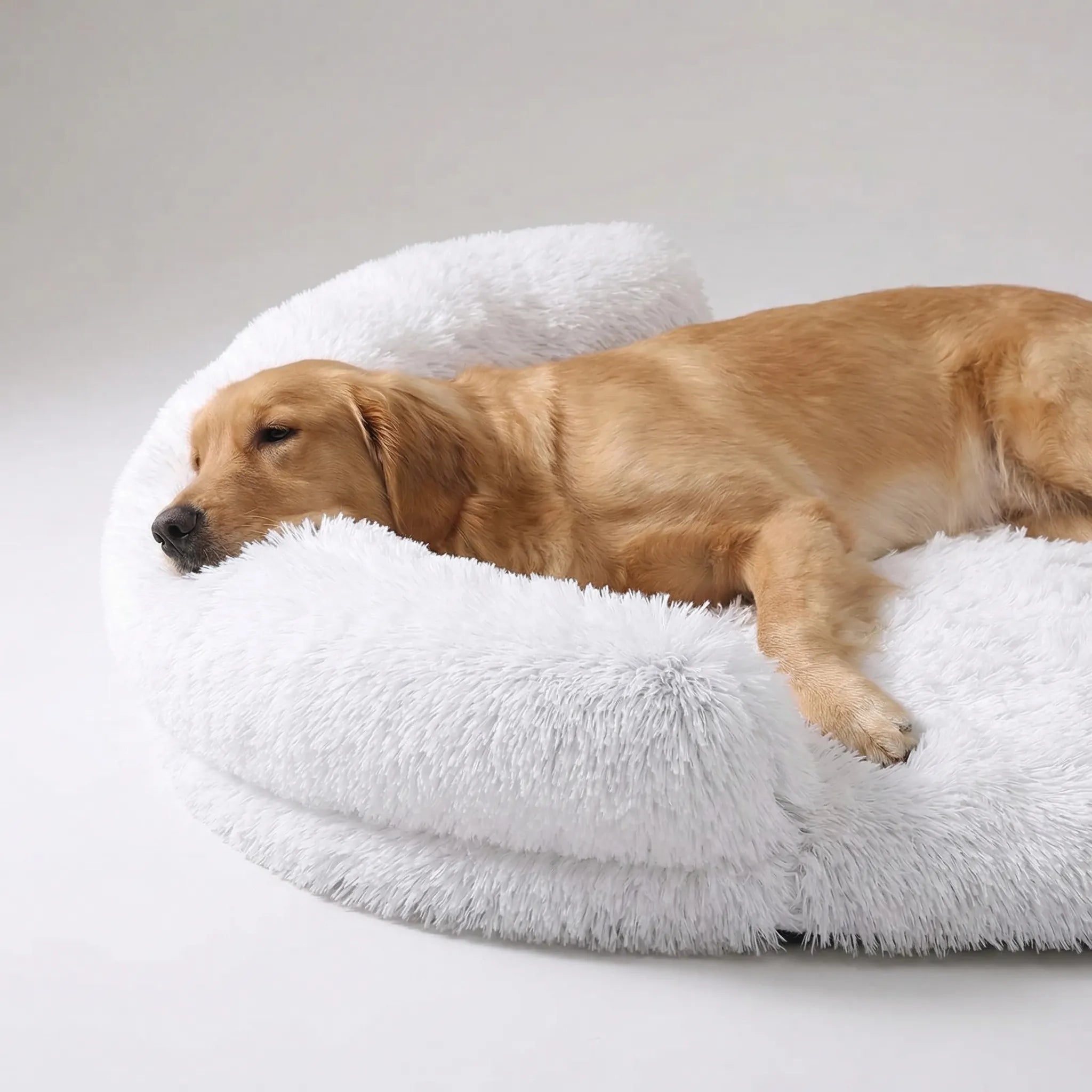 Nordspur | Snoozepaw Orthopedic Egg Foam Dog Bed