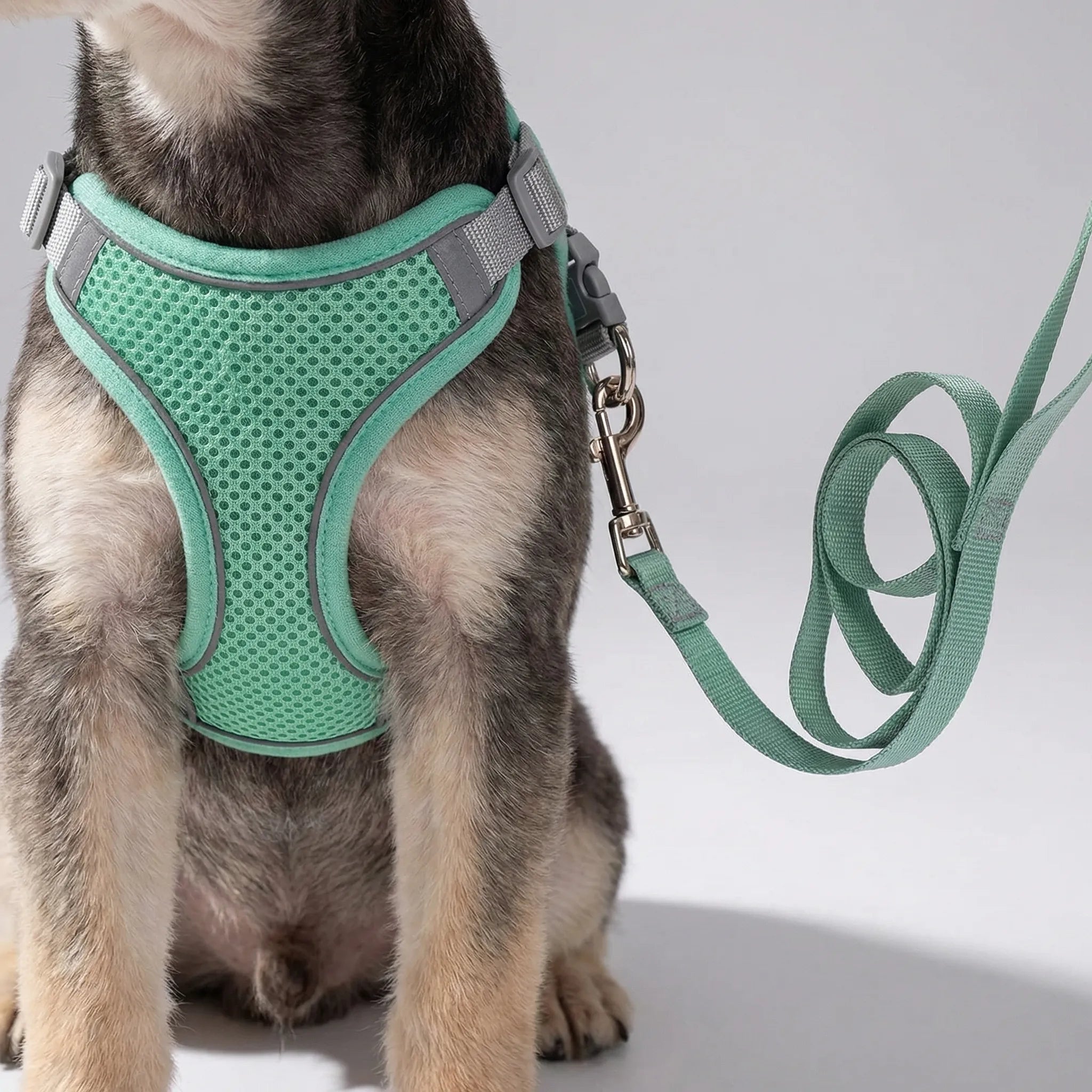 Nordspur | Snoutfit Adjustable Vest Harness With Matching Lead