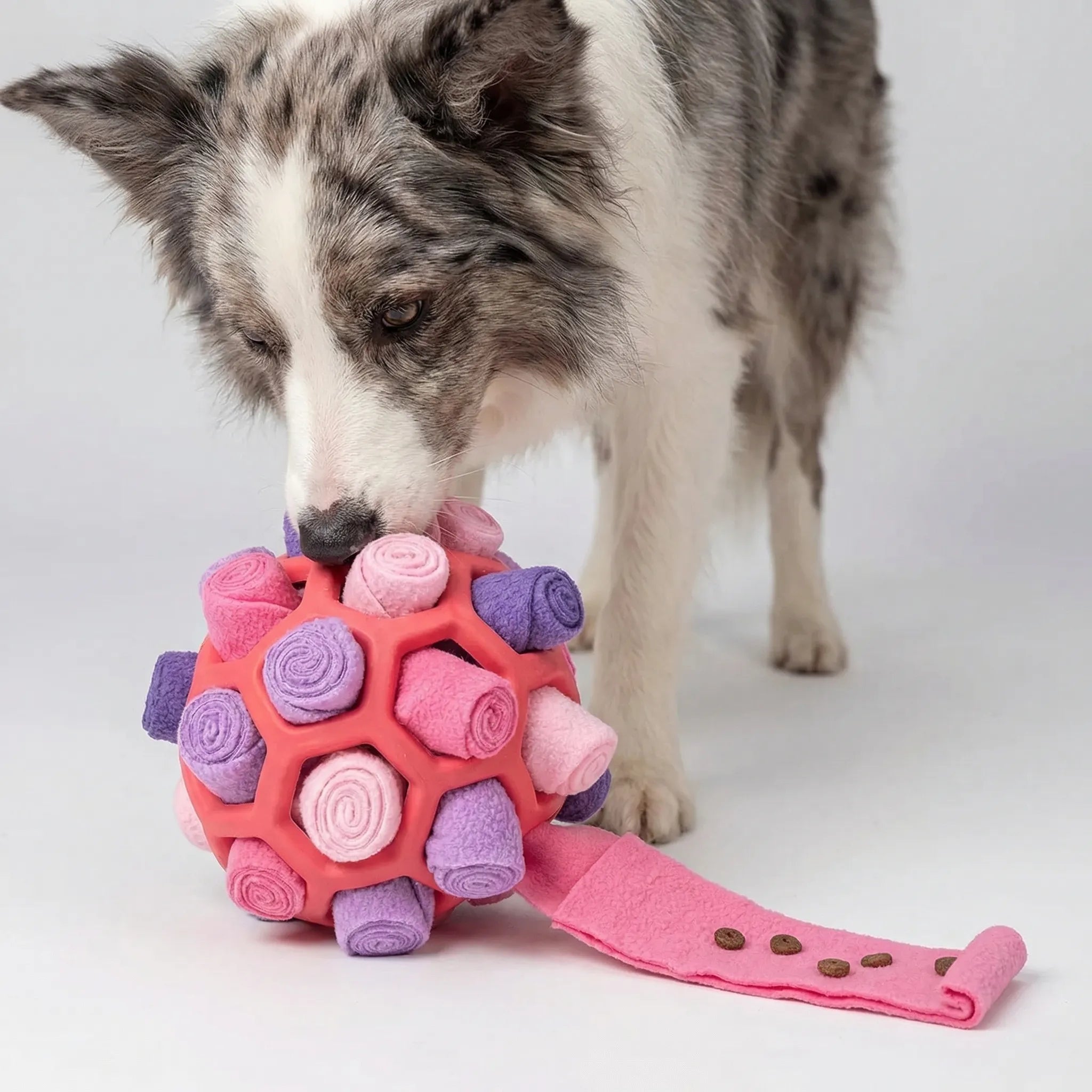 Interaktiver Schnüffelball für Hunde mit Leckerli-Taschen und Riemengriff
