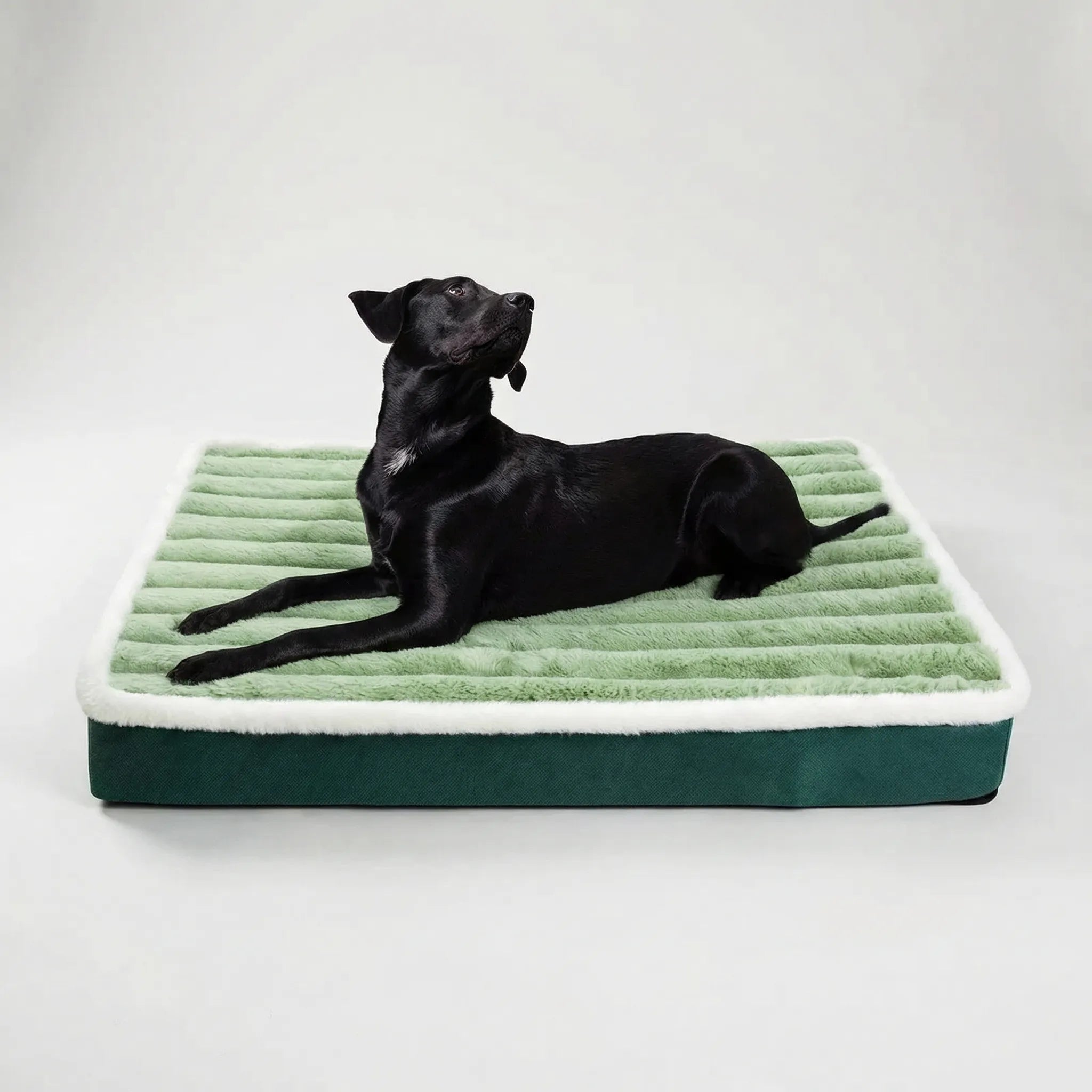 Nordspur | Snugvelo Rectangular Foam Pet Mattress With Removable Cover