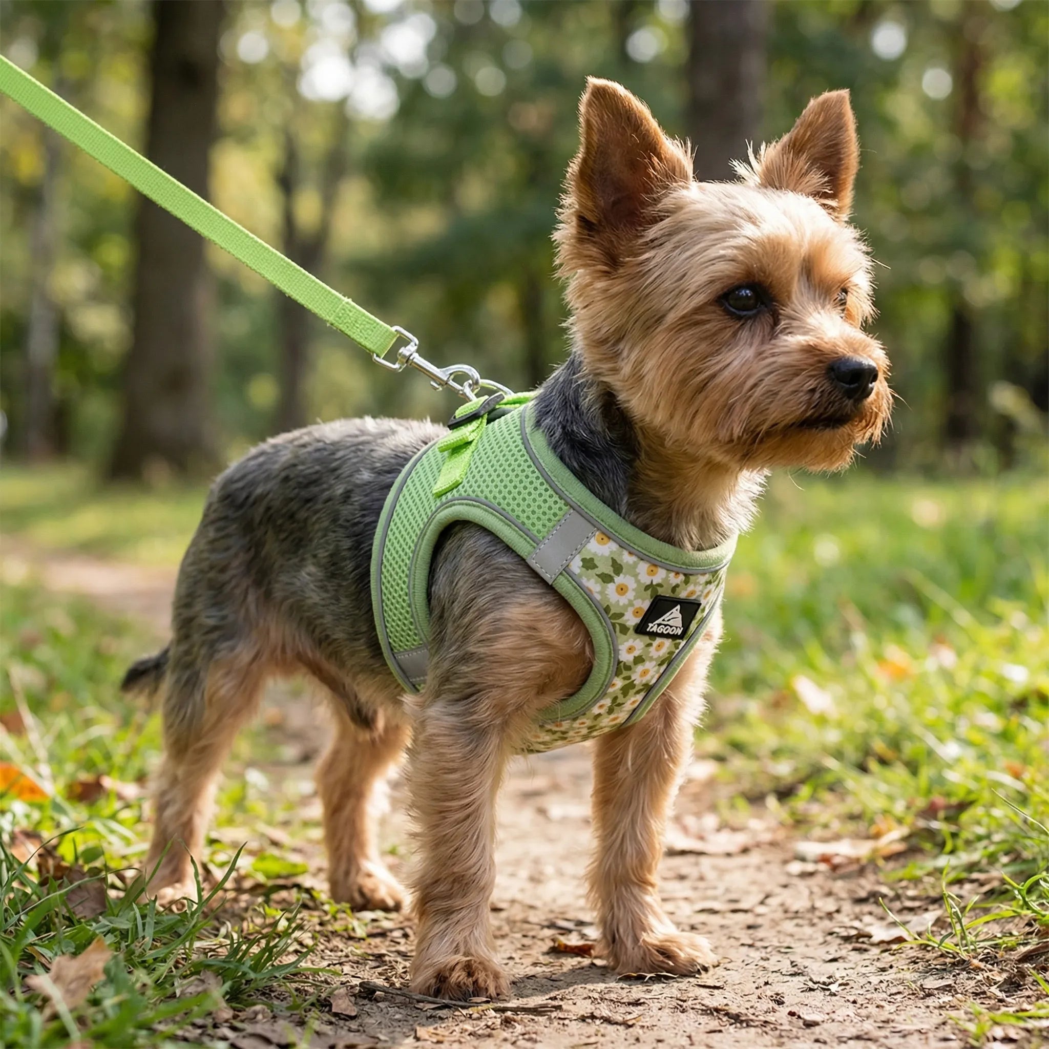 Nordspur | Striddler Adjustable No-Pull Pet Harness Set