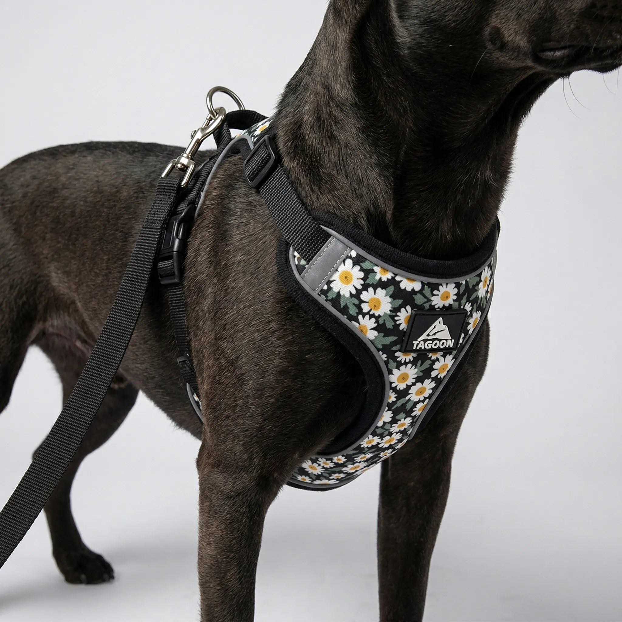 Nordspur | Striddler Adjustable No-Pull Pet Harness Set