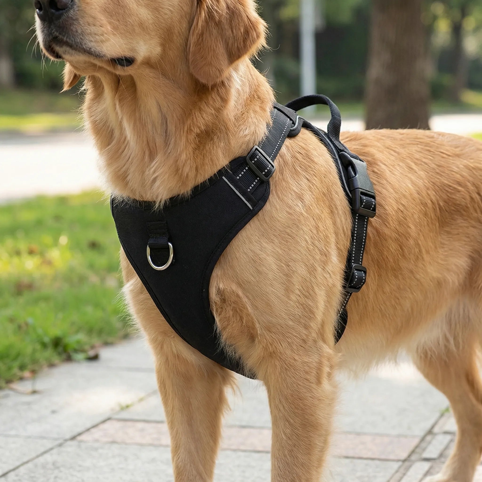 Nordspur | Strutpaw Adjustable No-Pull Chest Harness