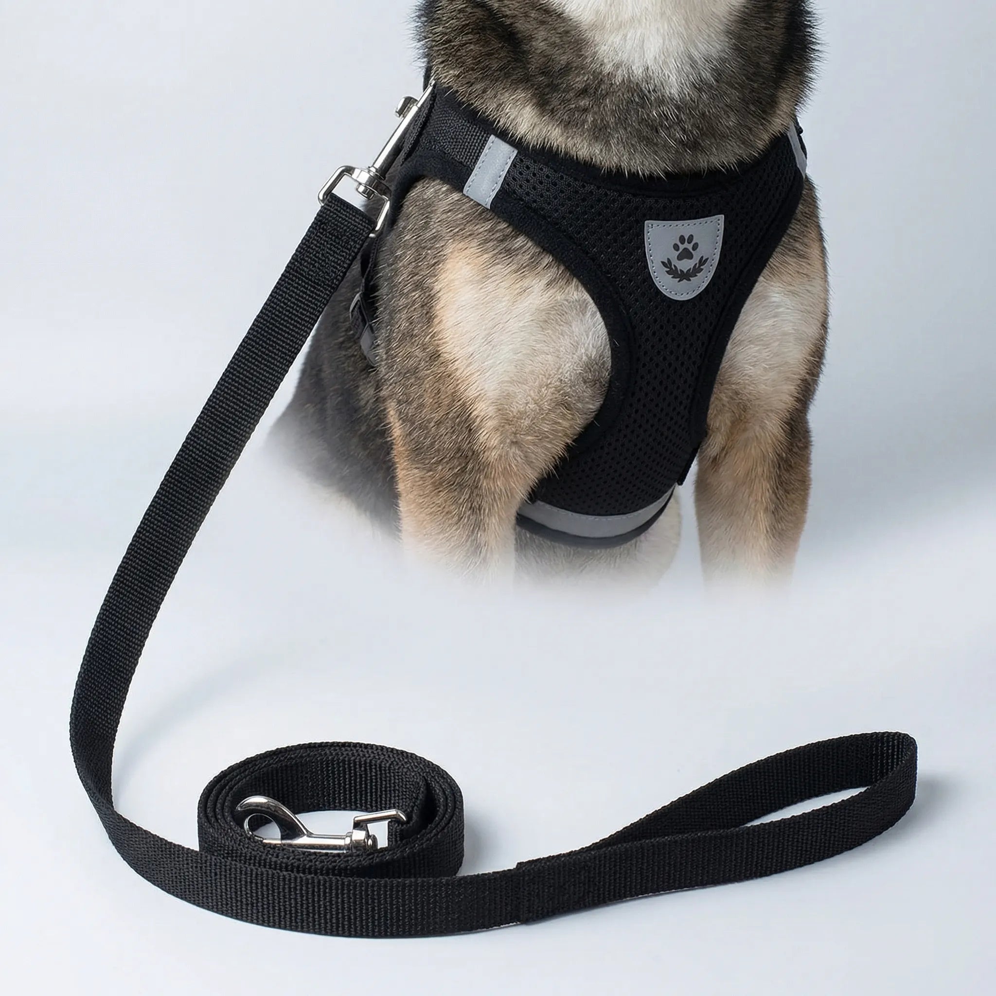 Nordspur | Trotley Adjustable Vest Harness With Matching Lead