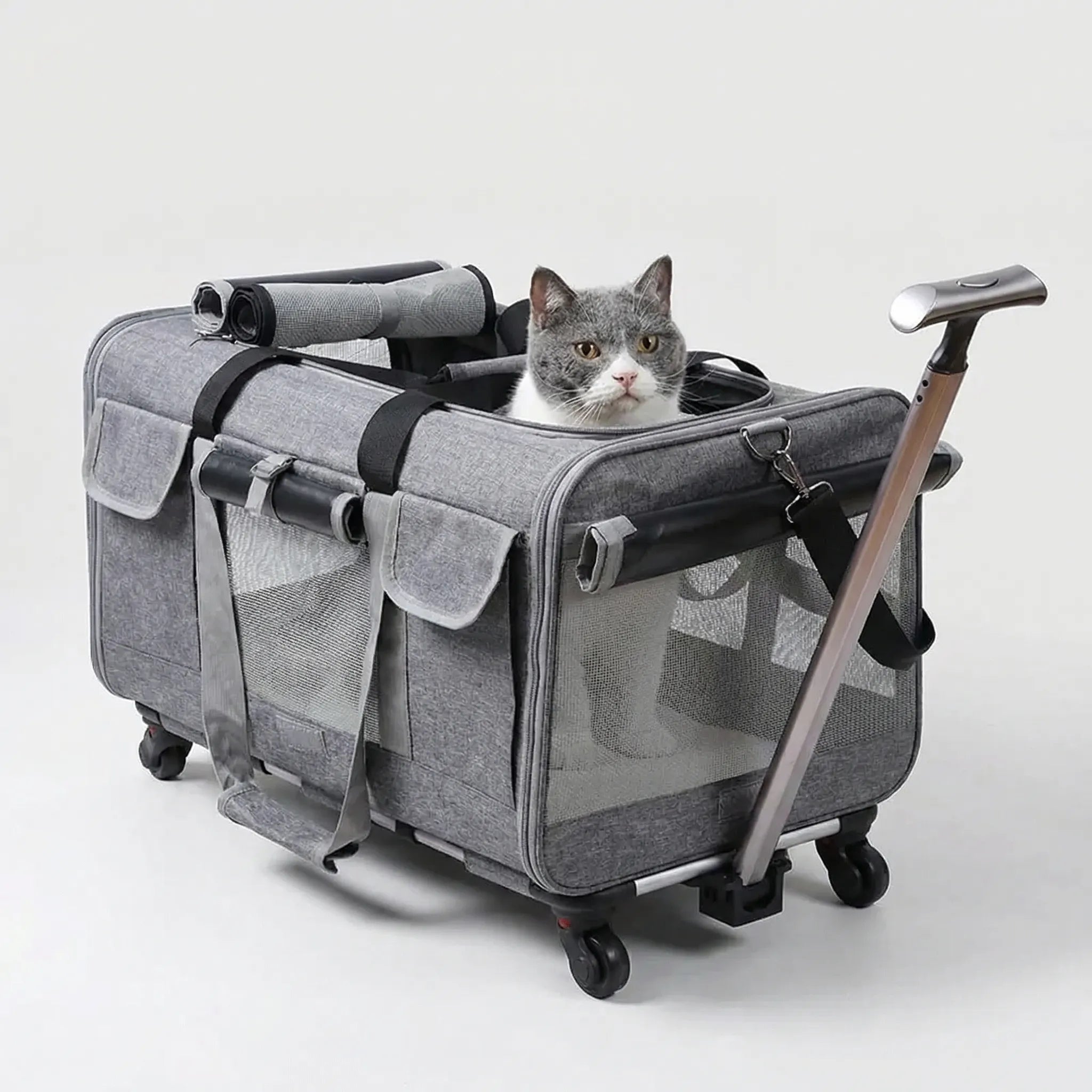 Nordspur | Trotpaw Extra Large Foldable Pet Trolley Case