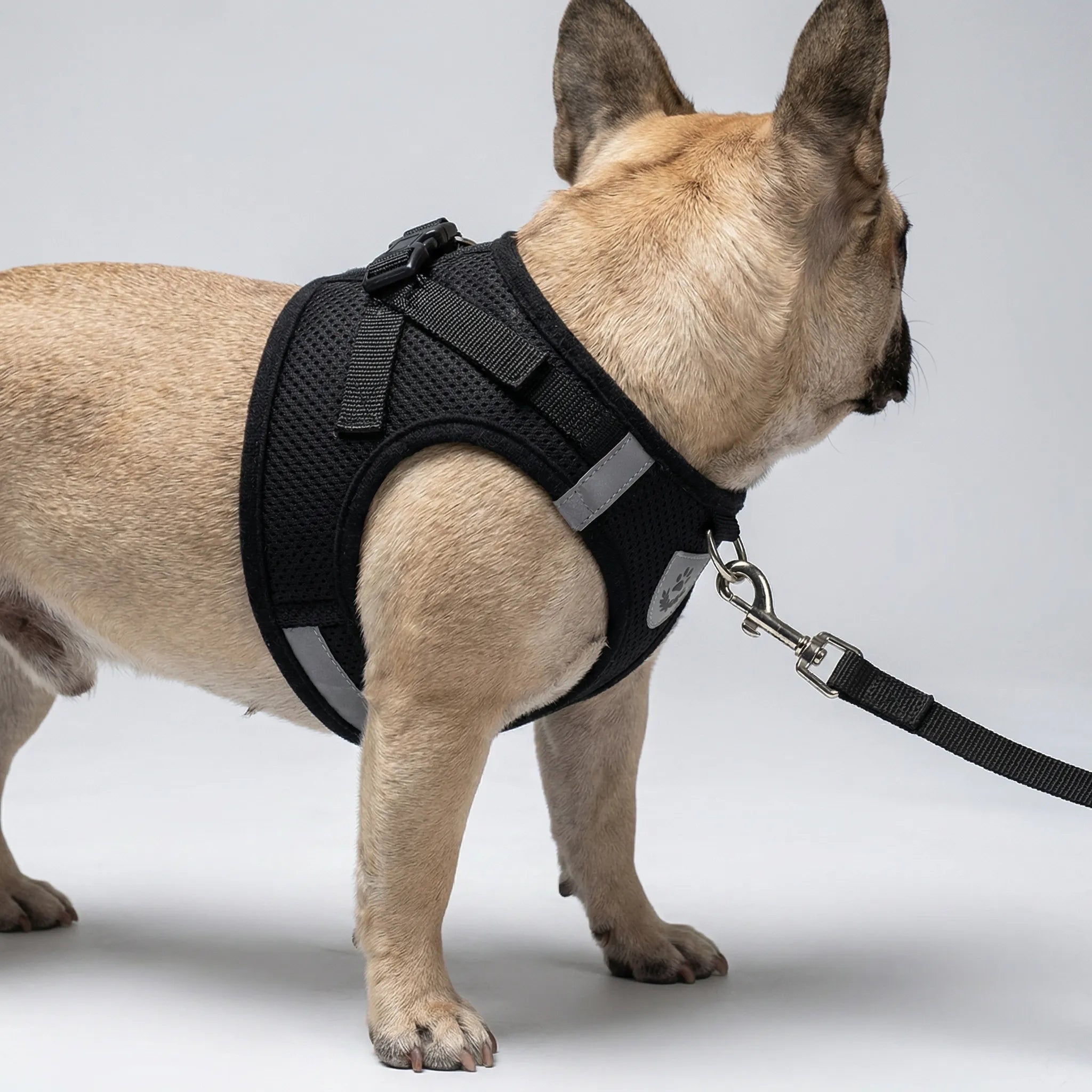 Nordspur | Vestipet Adjustable Reflective Vest Harness For Small Dogs