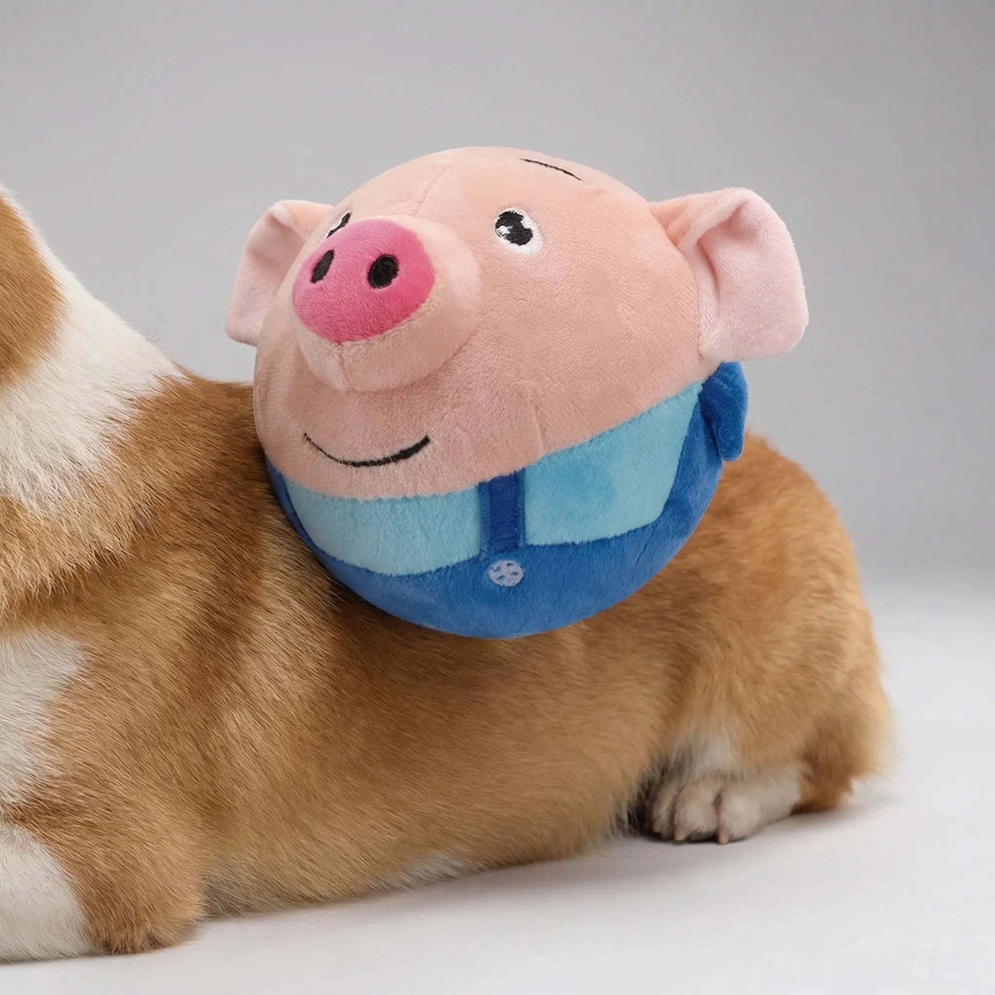 Selbstbewegliches Plüsch-Hundespielzeug mit Quietscher für kleine Hunde