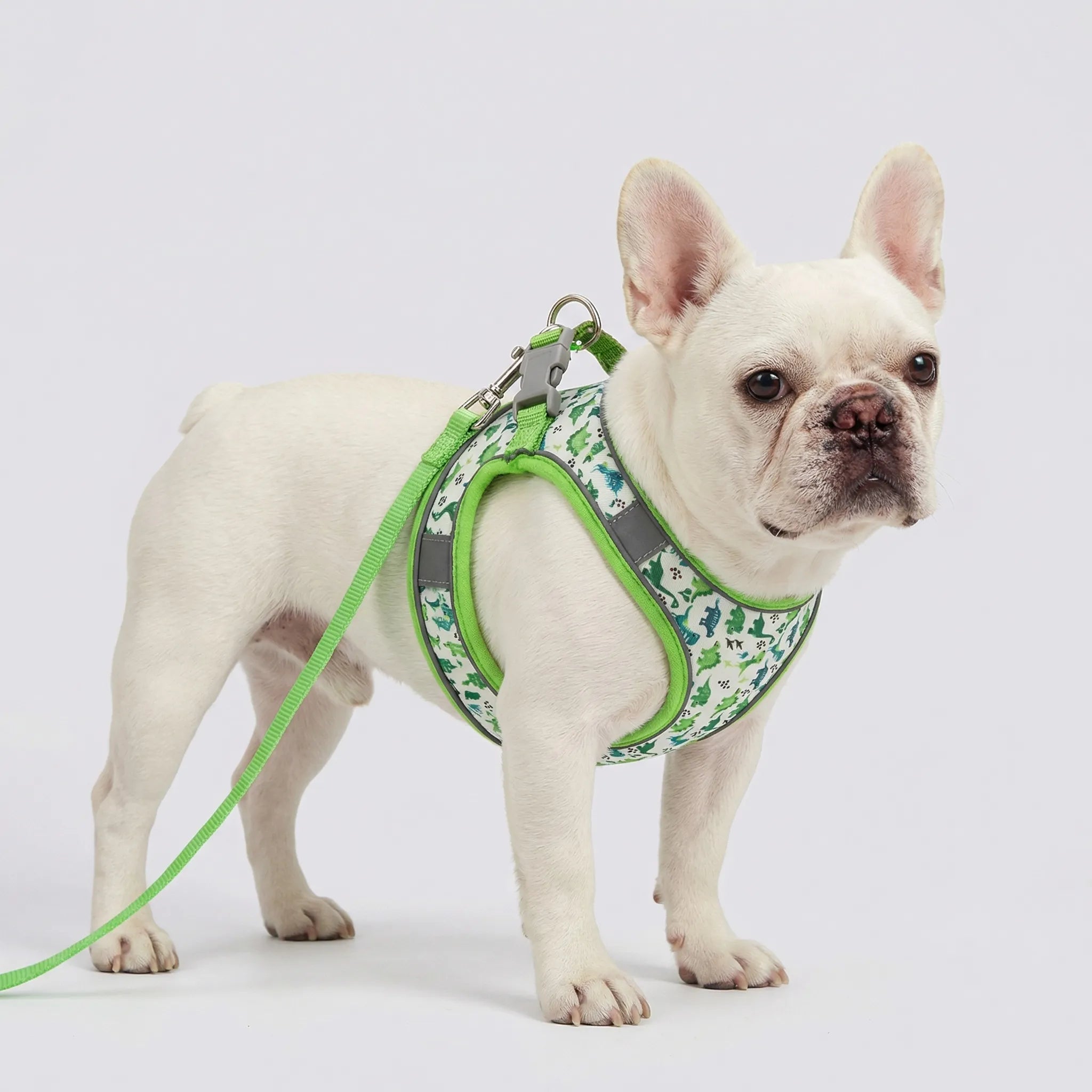 Nordspur | Wooflet Small Dog Harness And Lead Set