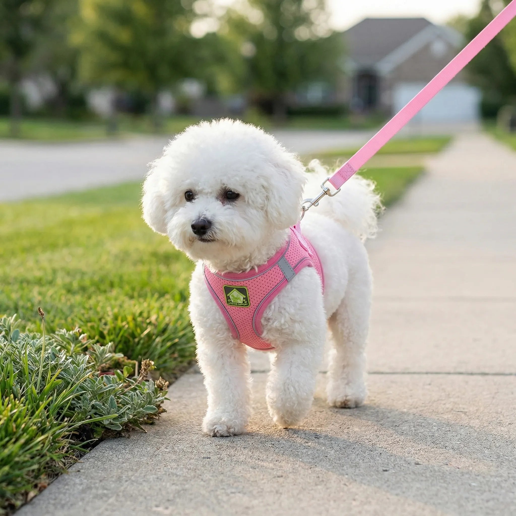 Nordspur | Woofwear Reflective Vest-Style Dog Harness