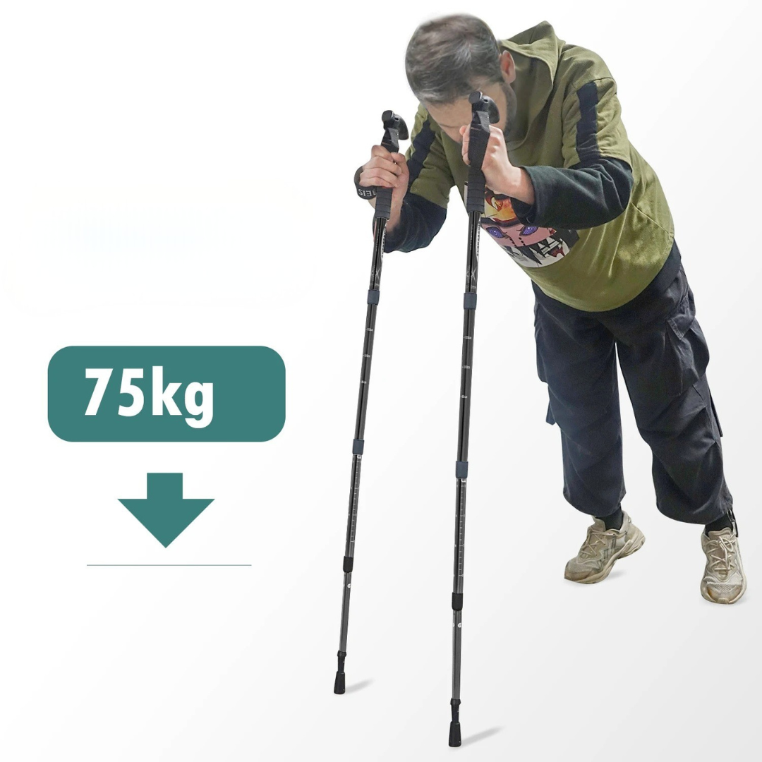 Nordspur | Trailara Foldable Telescopic Trekking Pole