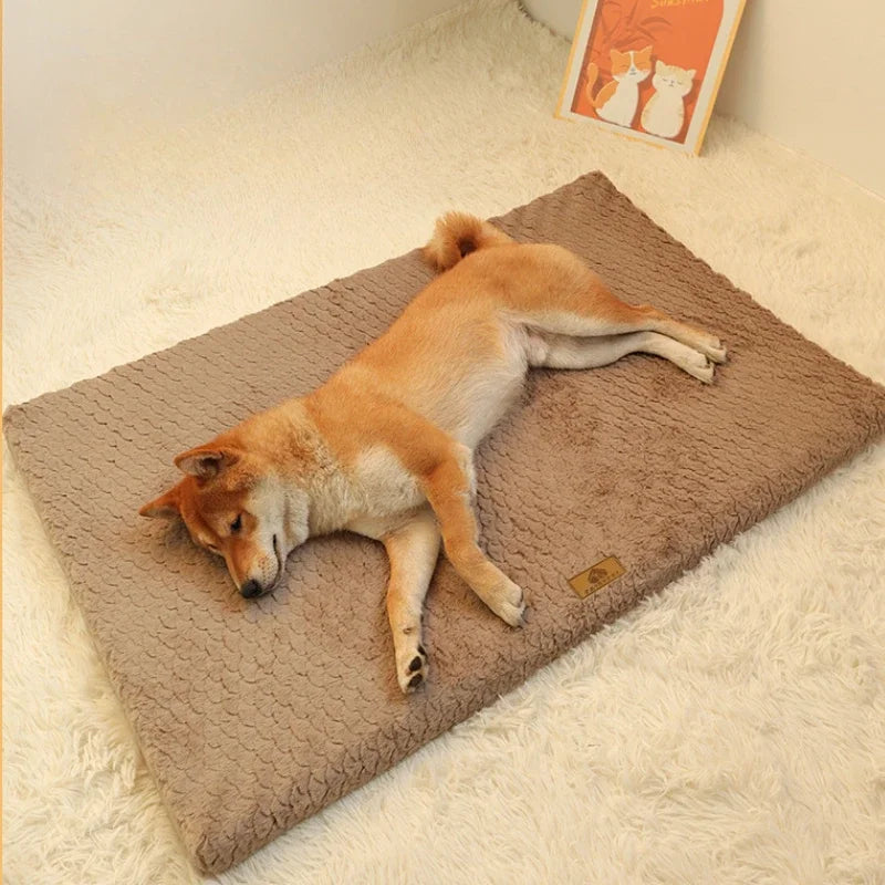 Nordspur | Pawventure Flat Orthopedic Foam Dog Mat