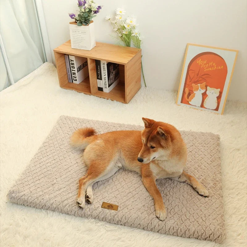 Nordspur | Pawventure Flat Orthopedic Foam Dog Mat