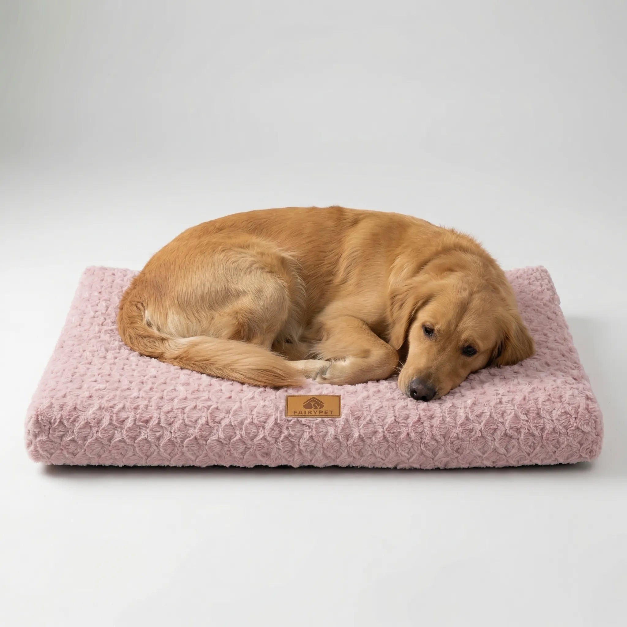 Nordspur | Pawventure Flat Orthopedic Foam Dog Mat