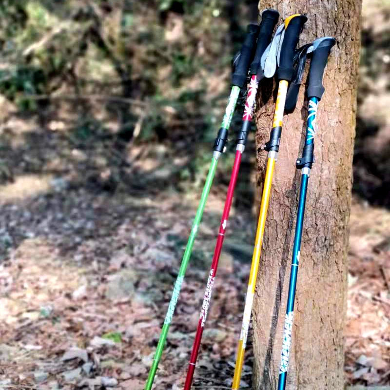 Nordspur | Treklynx Five Section Folding Pole
